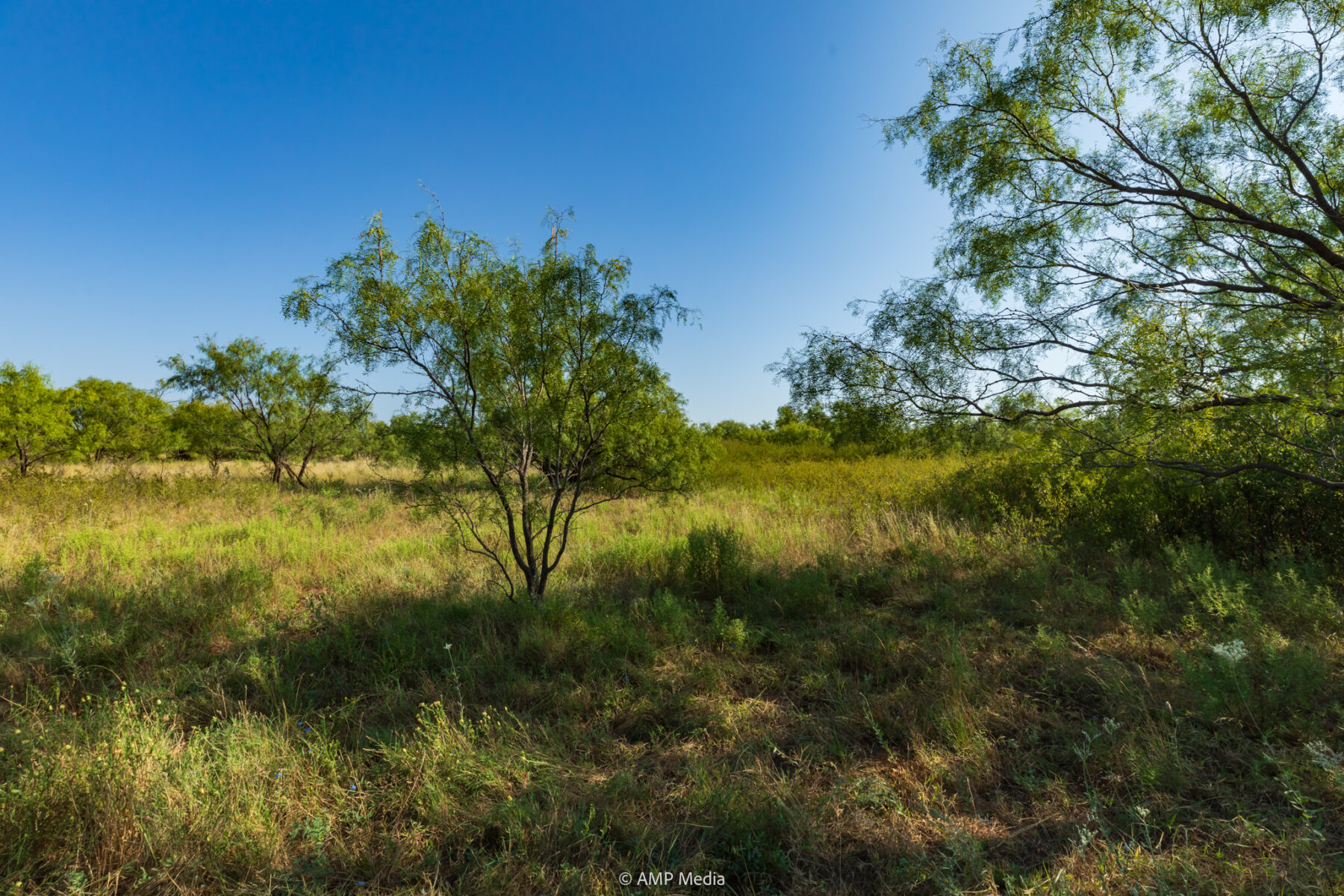 Property Photo 36 Property photograph 36