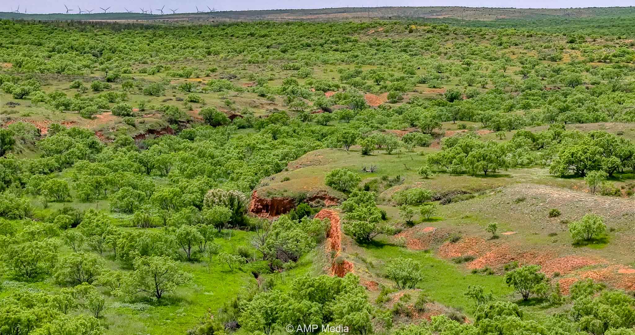 Property Photo 36 Property photograph 36
