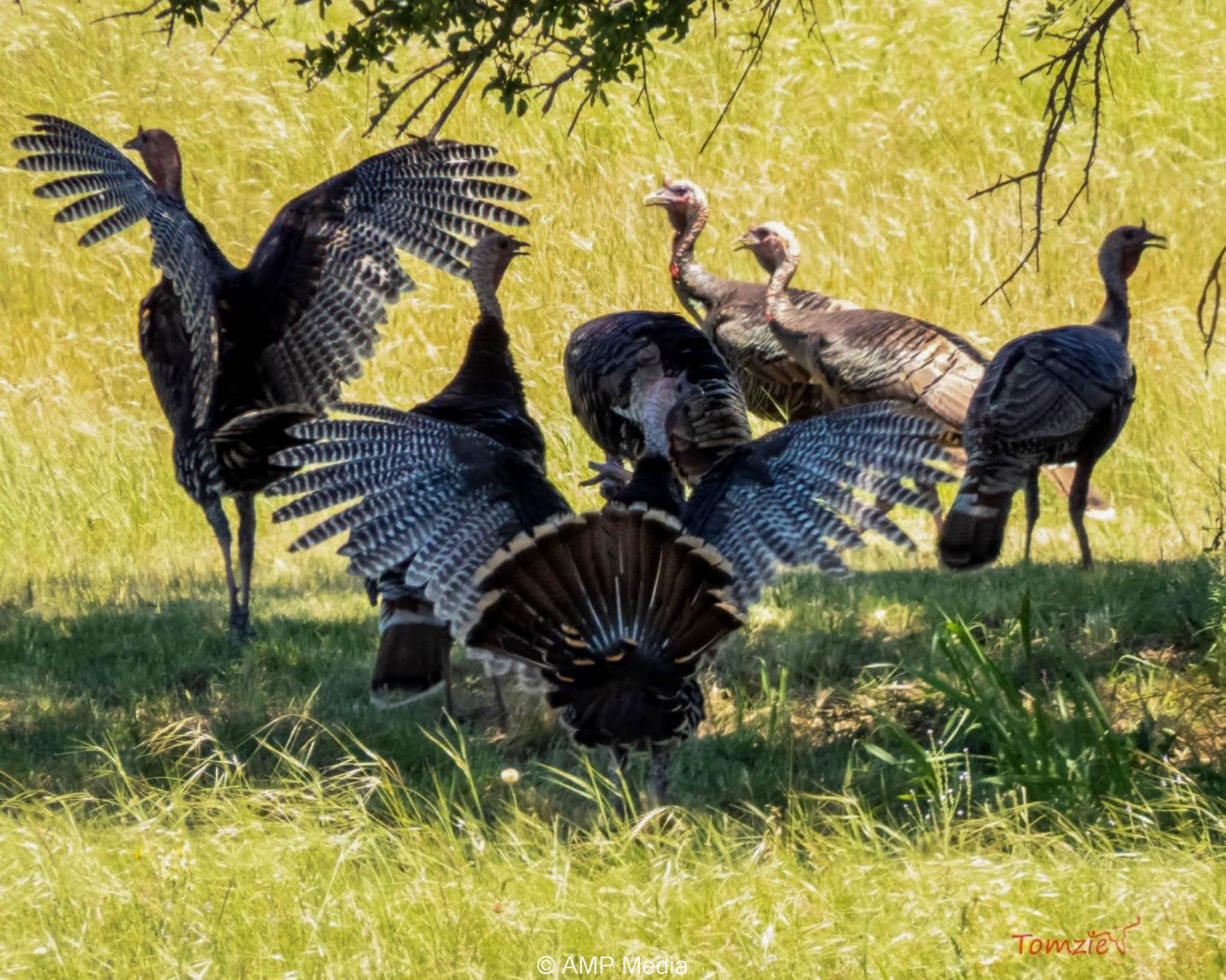 Property Photo 36 Property photograph 36