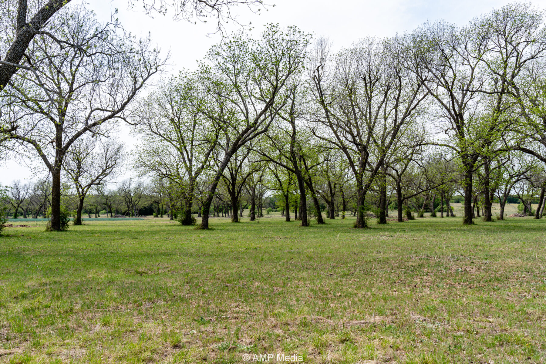 Property Photo 37 Property photograph 37