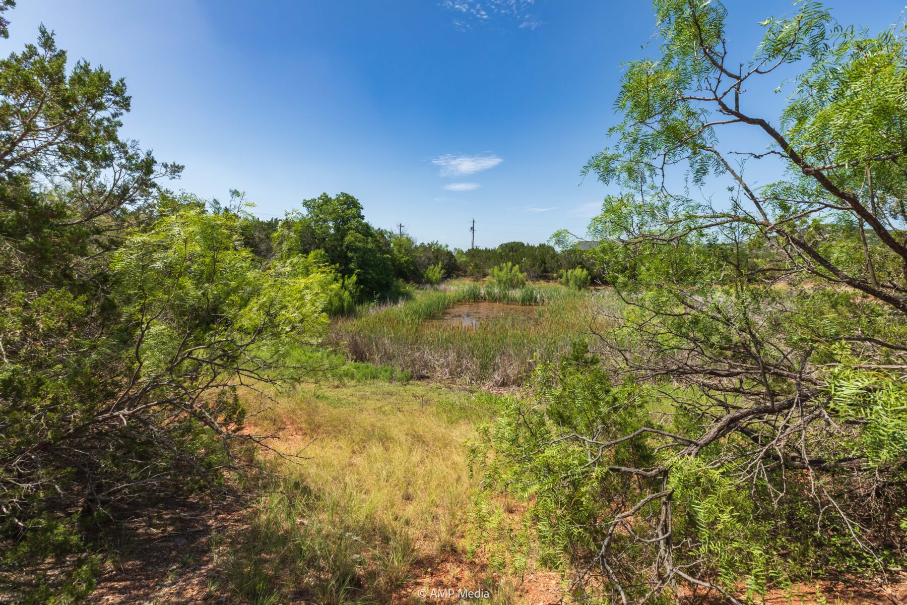 Property Photo 37 Property photograph 37