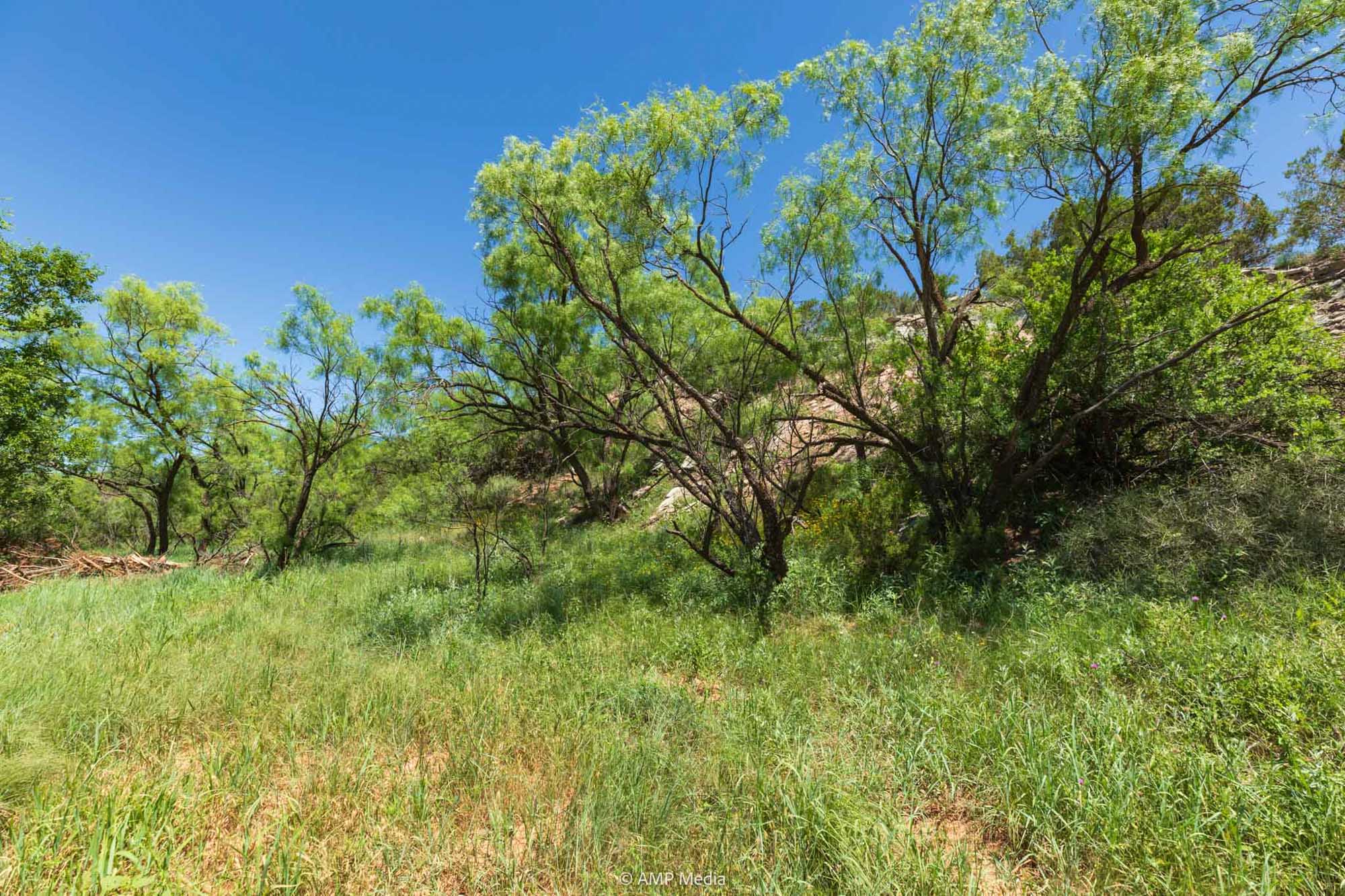 Property Photo 37 Property photograph 37