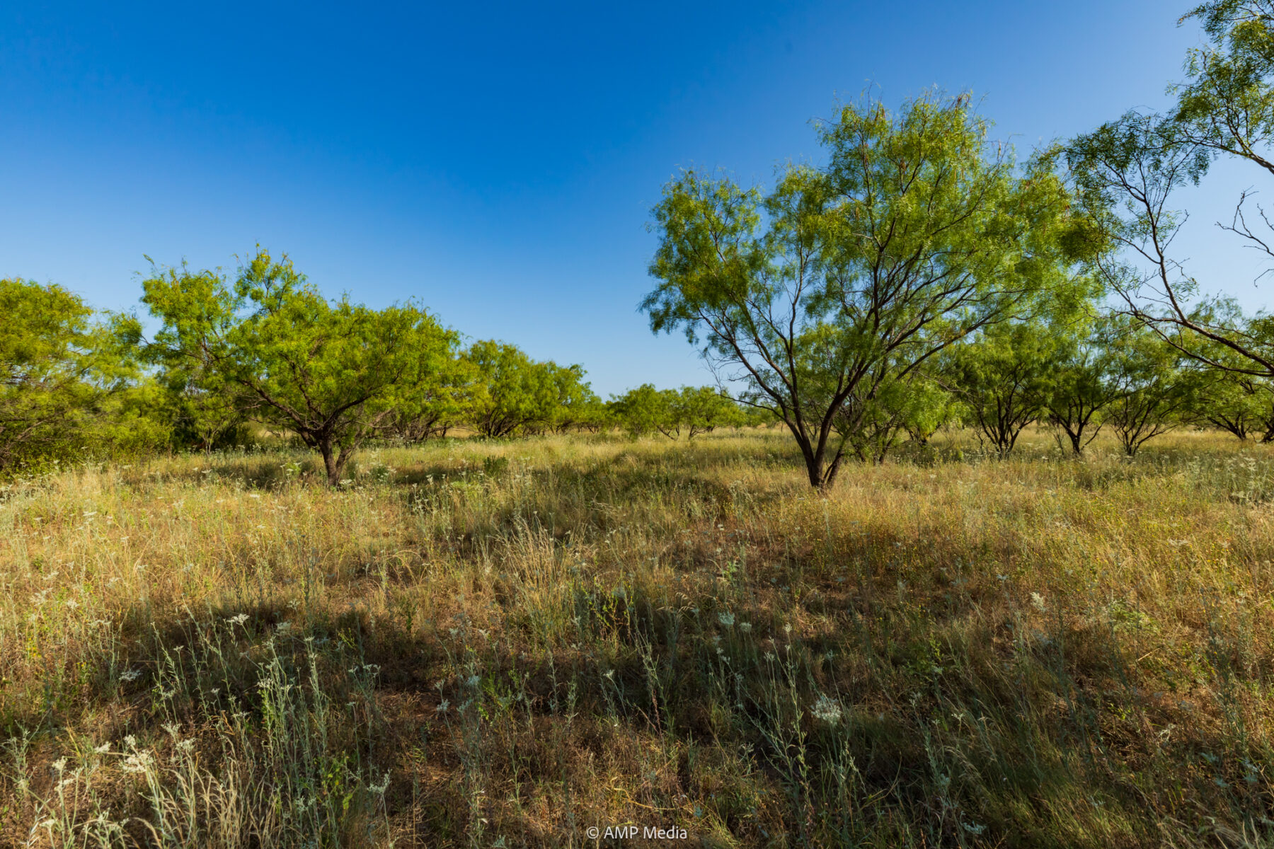 Property Photo 37 Property photograph 37
