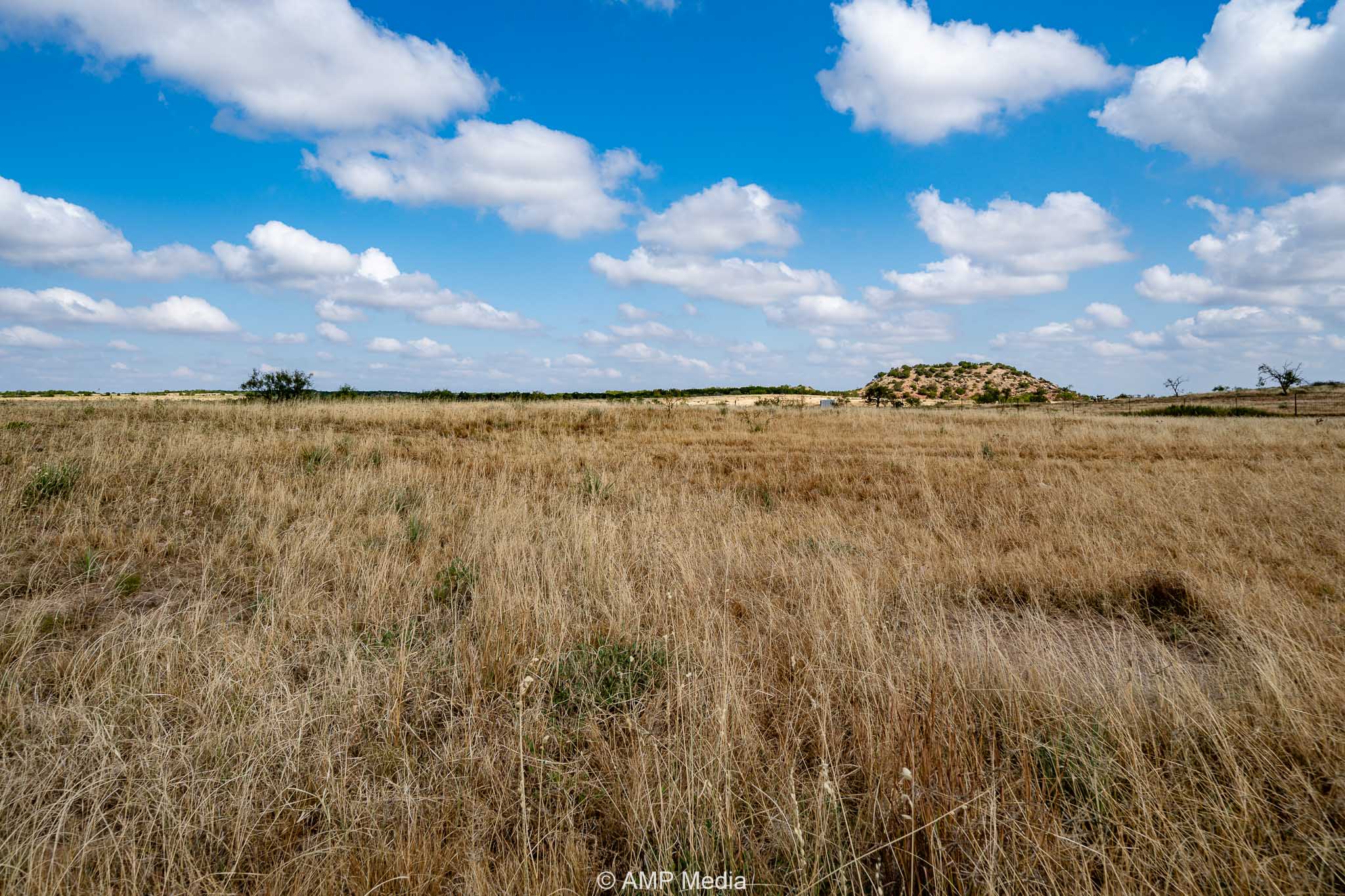 Property Photo 37 Property photograph 37