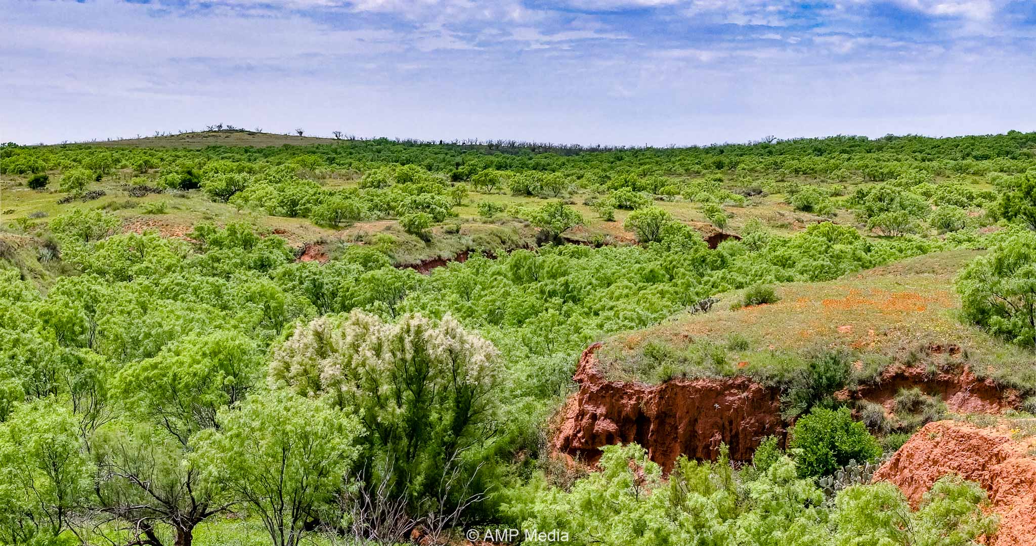 Property Photo 37 Property photograph 37