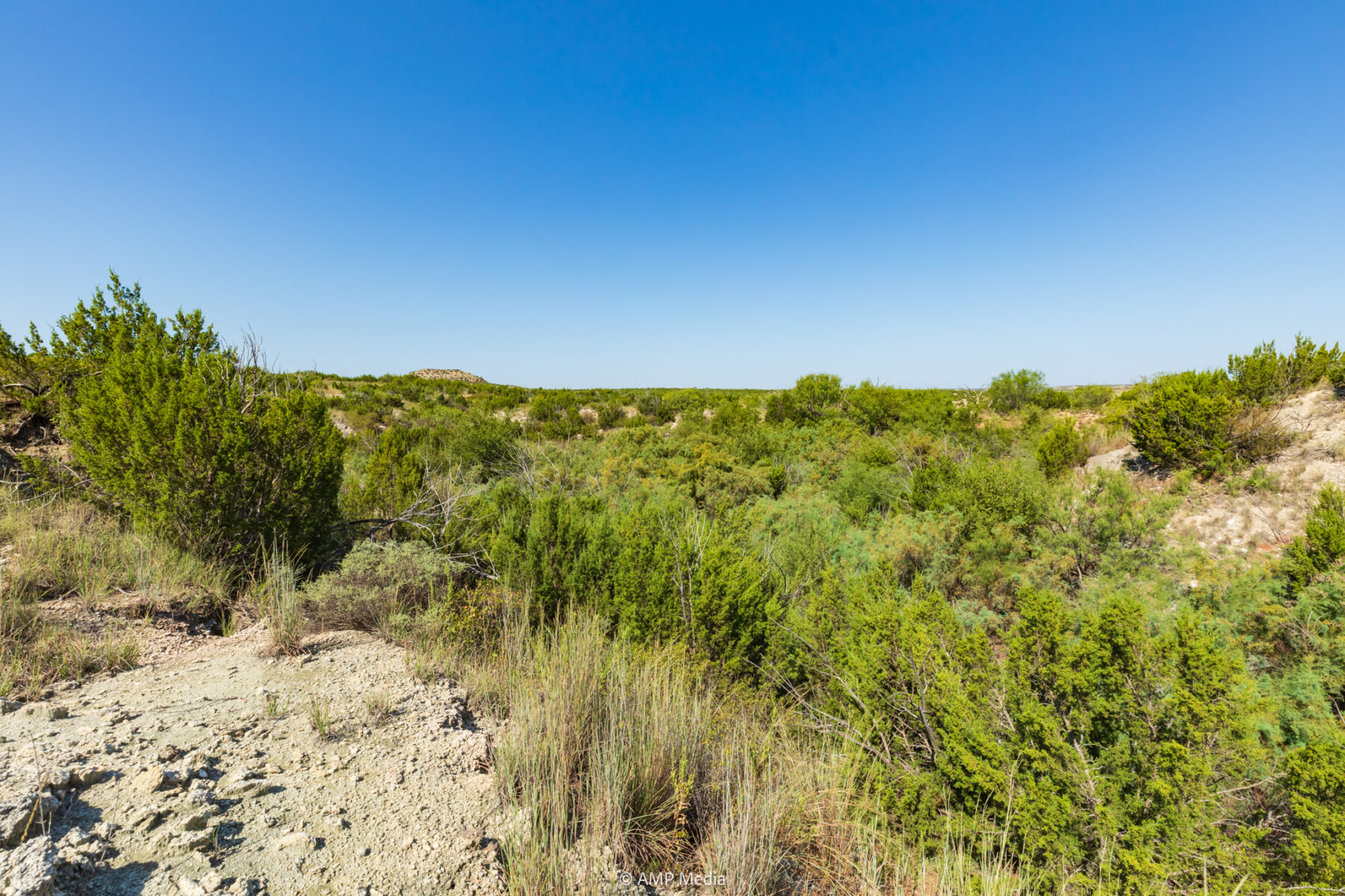 Property Photo 37 Property photograph 37