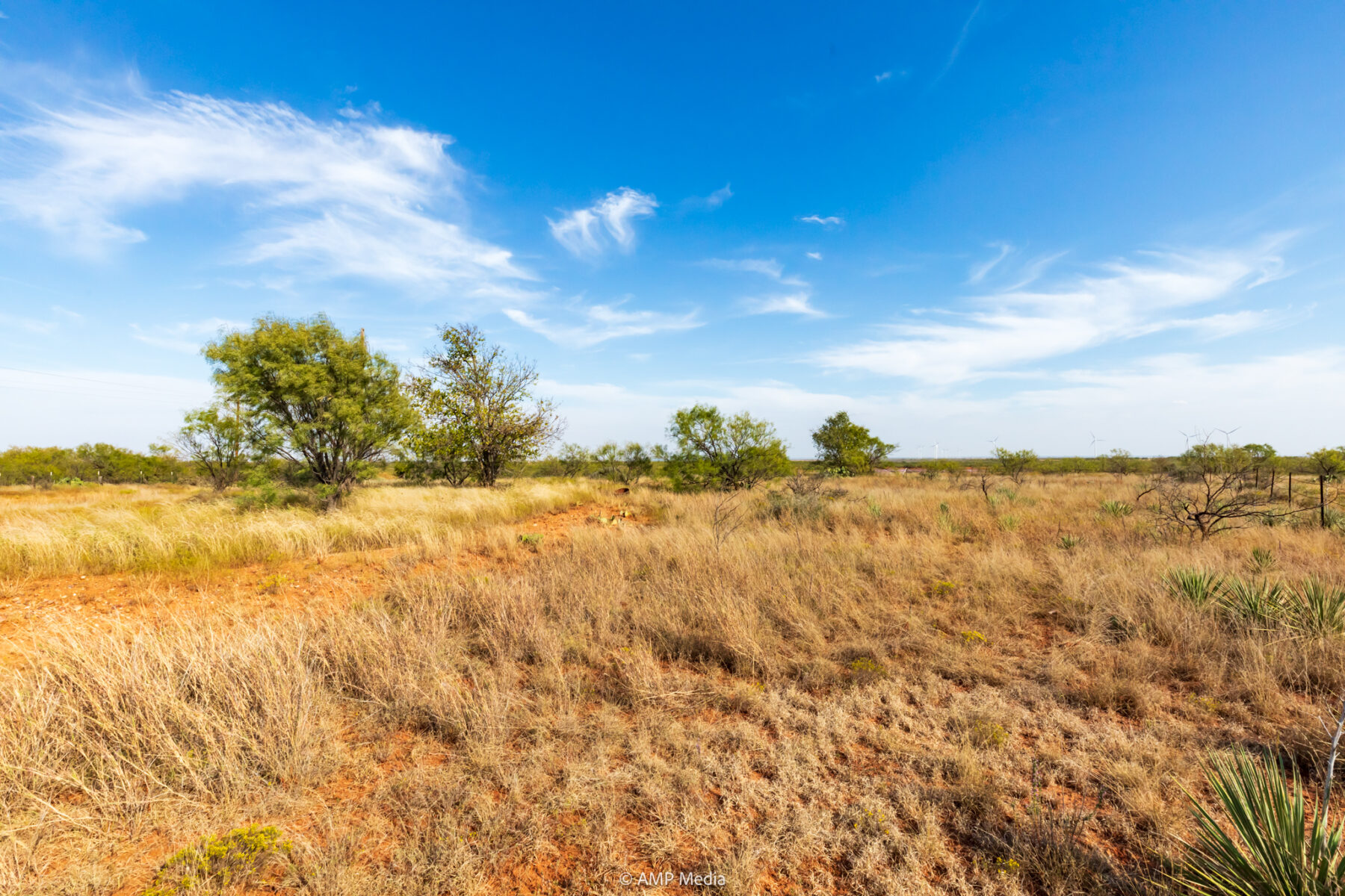 Property Photo 37 Property photograph 37