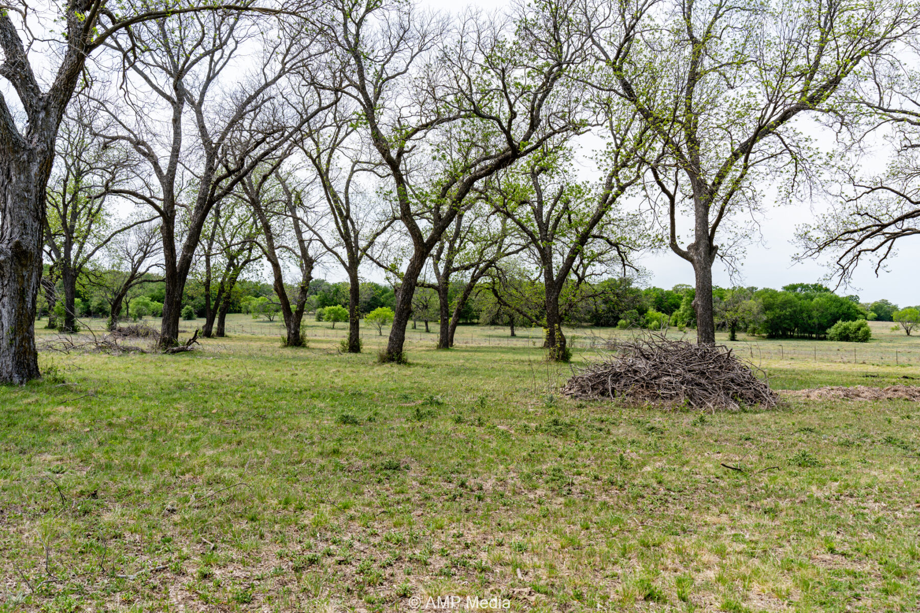 Property Photo 38 Property photograph 38