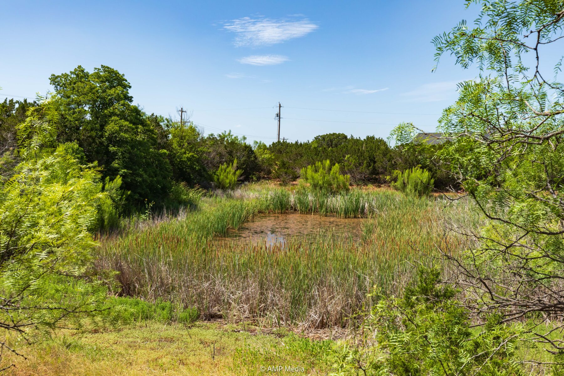 Property Photo 38 Property photograph 38