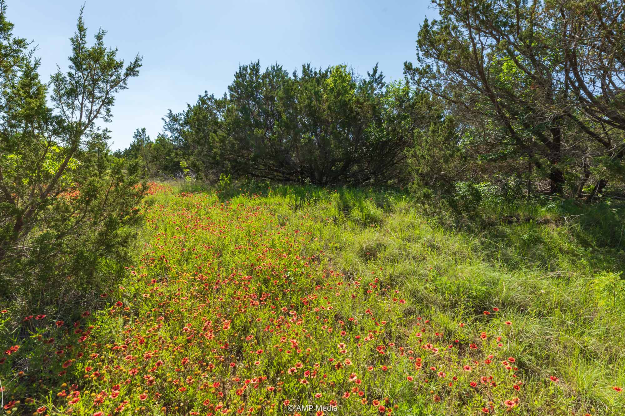 Property Photo 38 Property photograph 38