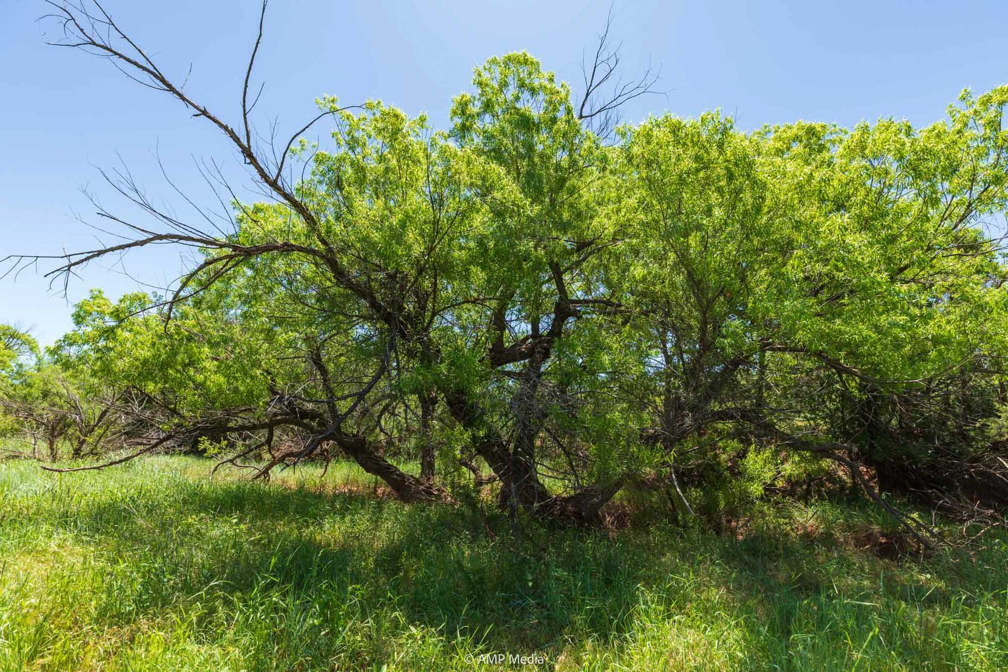Property Photo 38 Property photograph 38