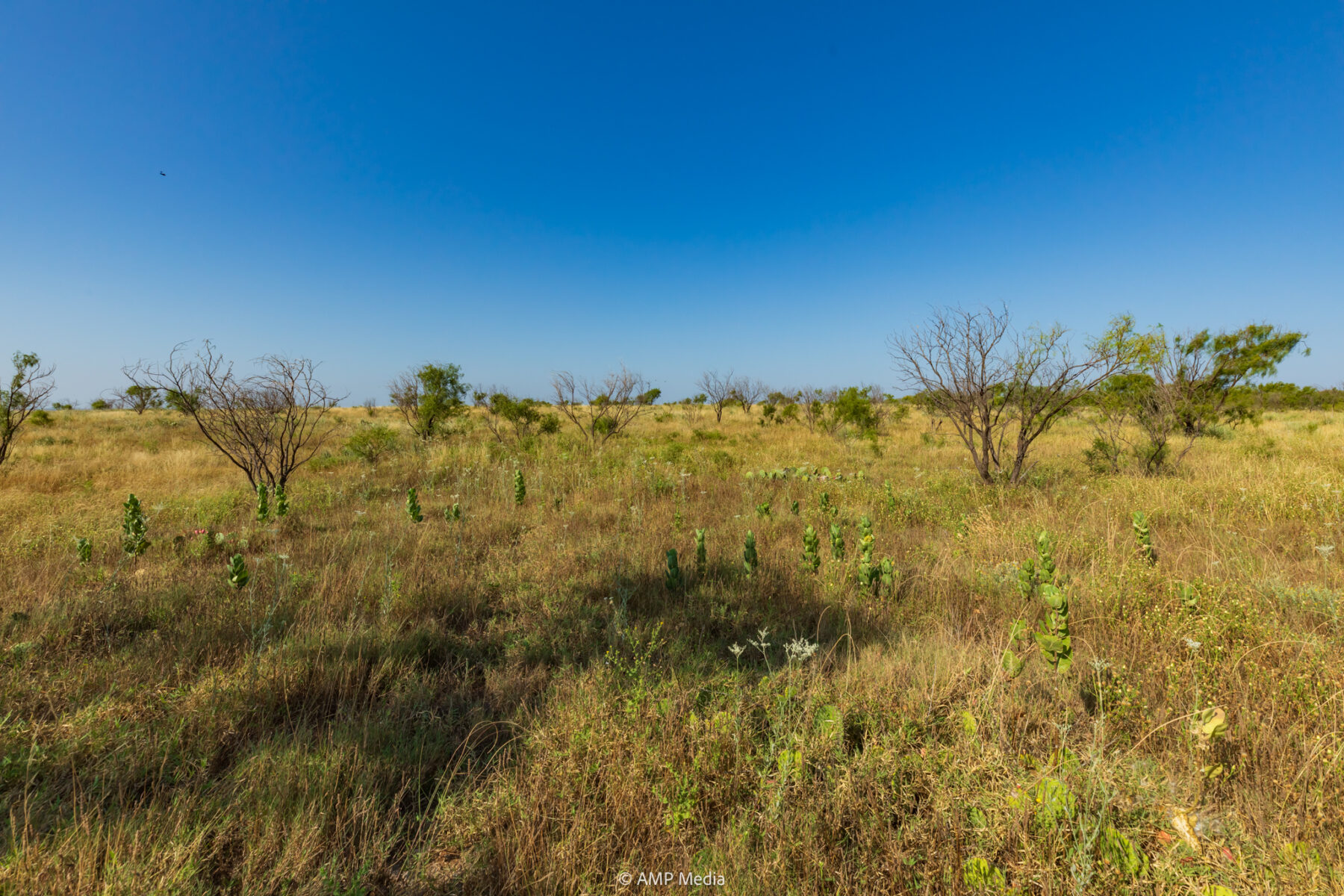 Property Photo 38 Property photograph 38