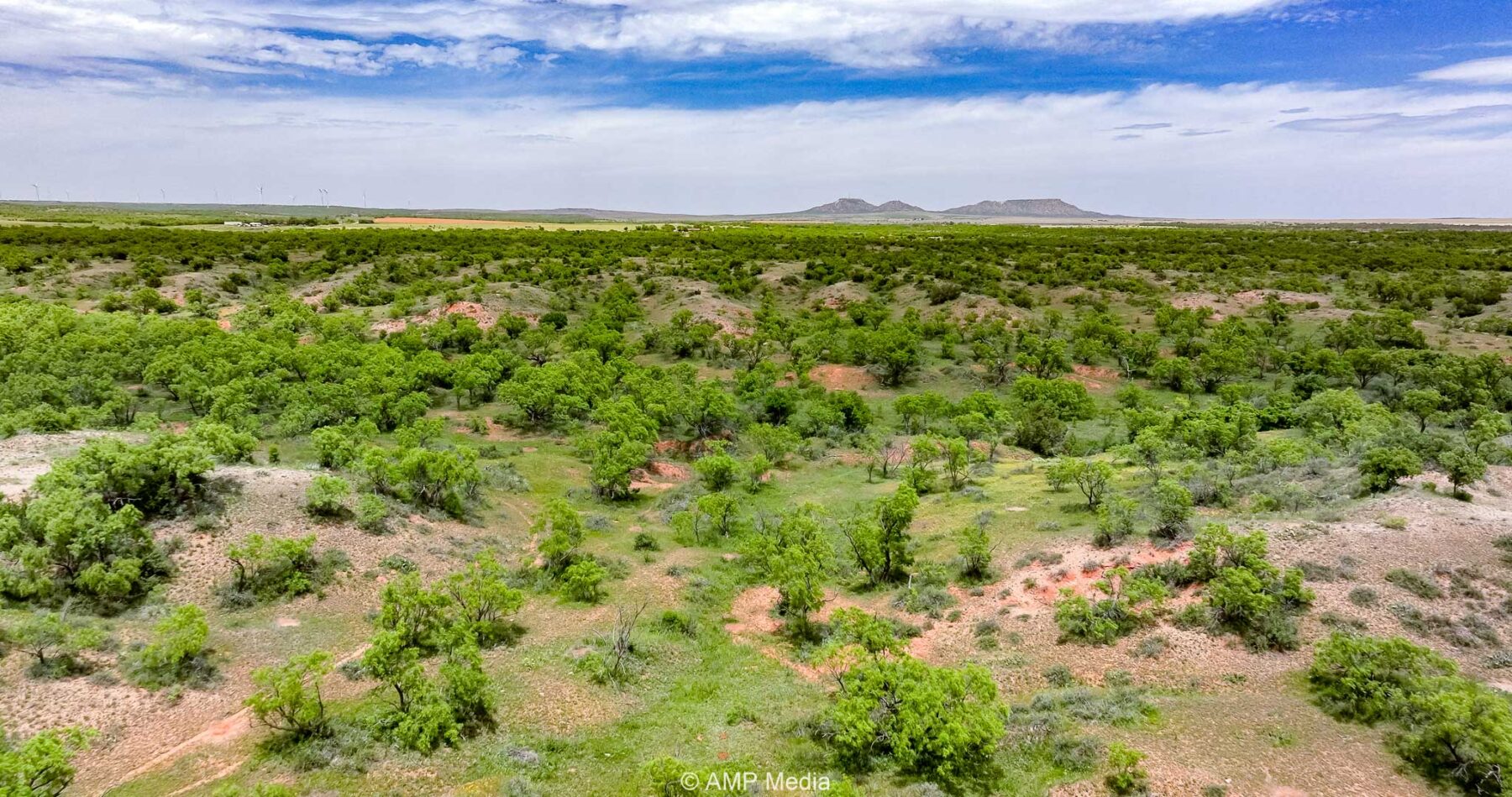 Property Photo 38 Property photograph 38