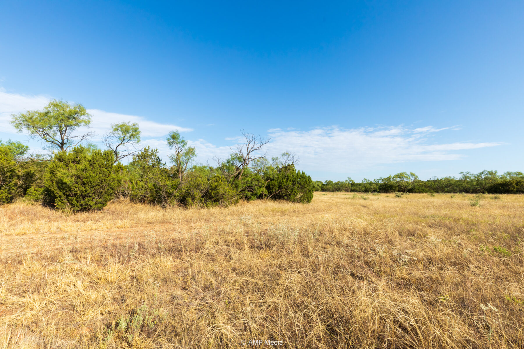 Property Photo 38 Property photograph 38