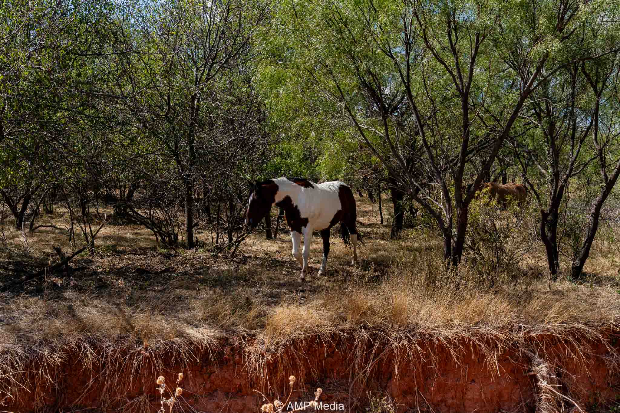 Property Photo 38 Property photograph 38