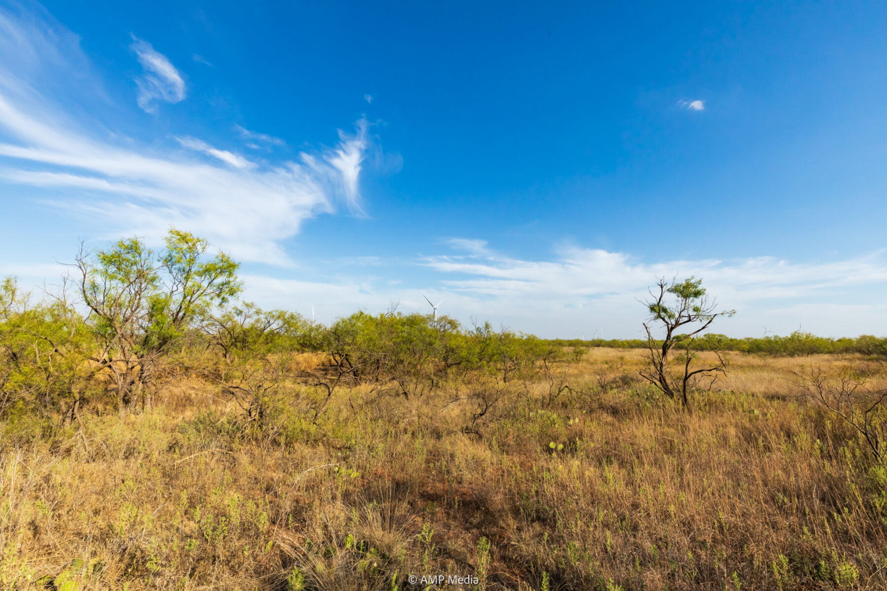Property Photo 38 Property photograph 38