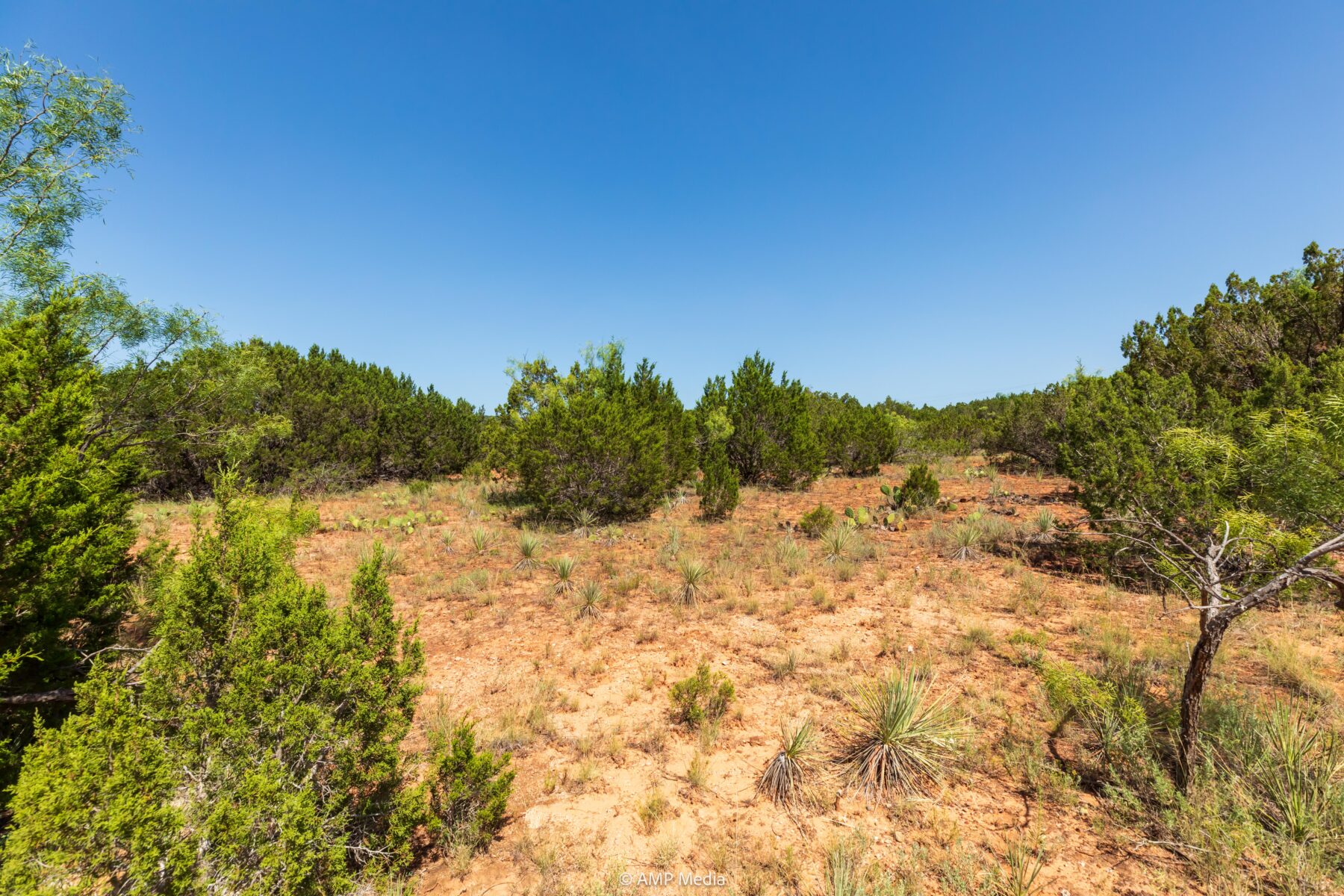 Property Photo 39 Property photograph 39