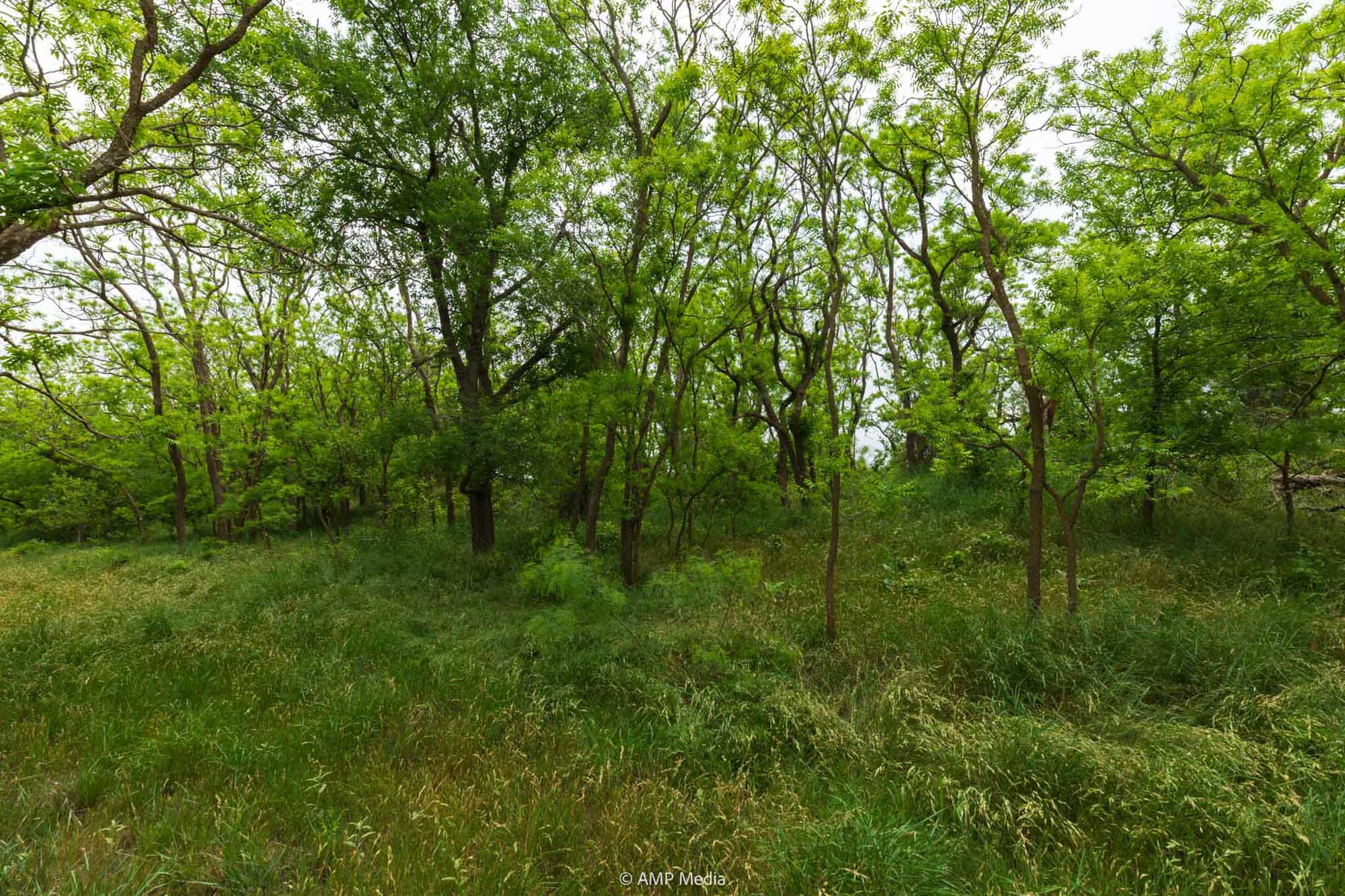 Property Photo 39 Property photograph 39