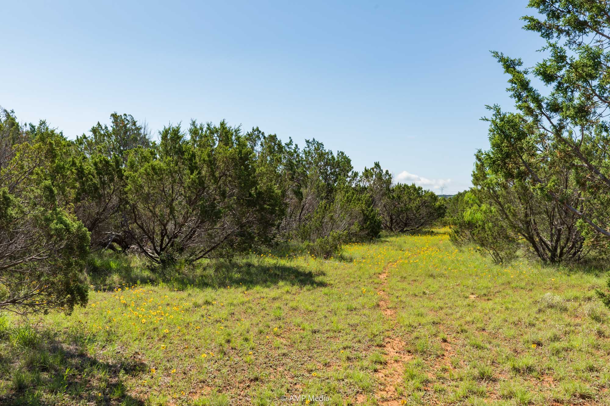 Property Photo 39 Property photograph 39