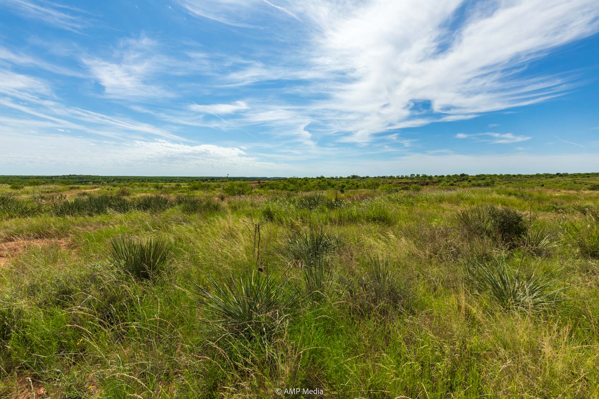 Property Photo 39 Property photograph 39