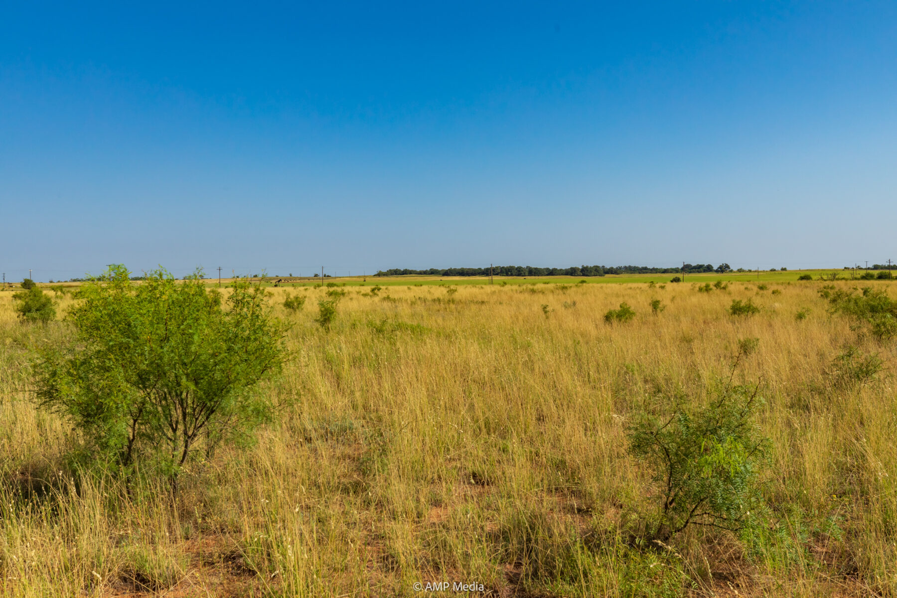 Property Photo 39 Property photograph 39