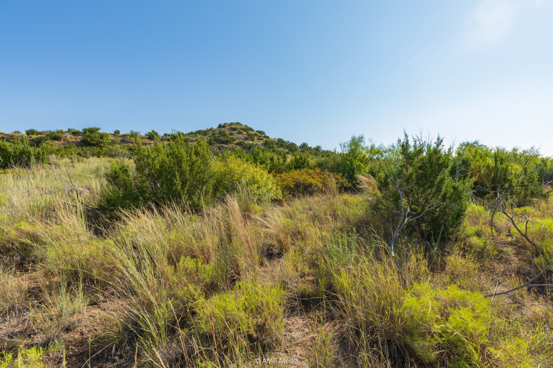 Property Photo 39 Property photograph 39