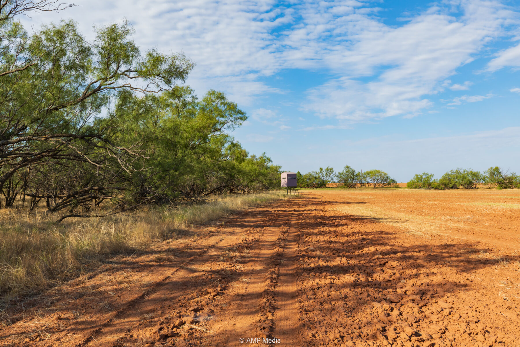 Property Photo 39 Property photograph 39
