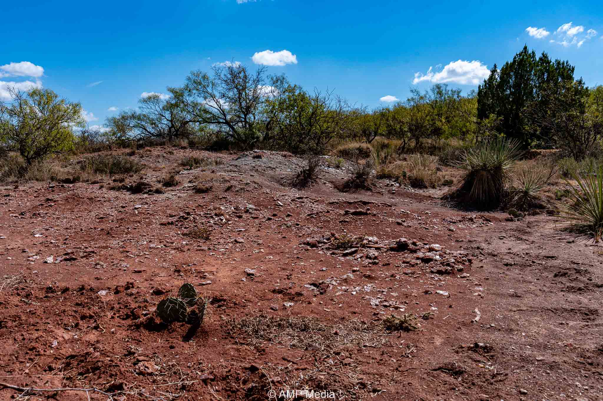 Property Photo 39 Property photograph 39