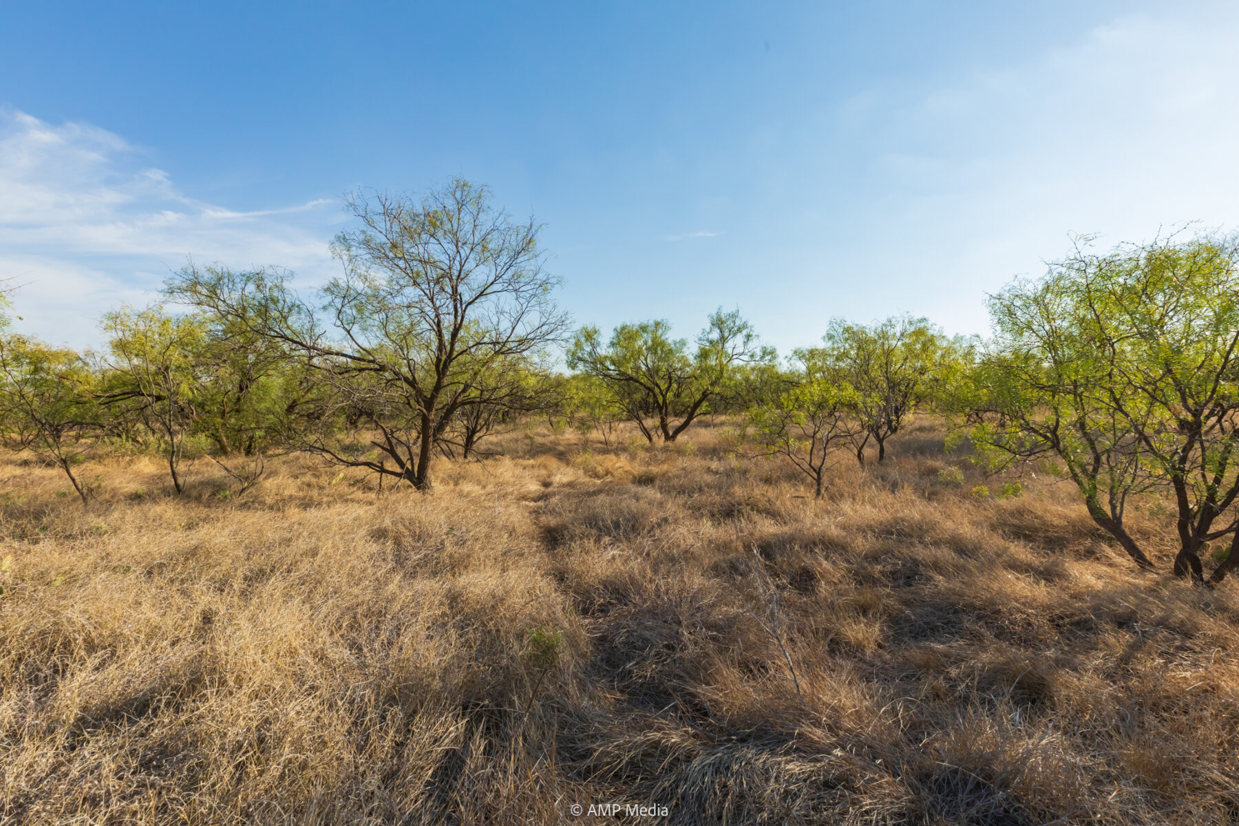 Property Photo 39 Property photograph 39