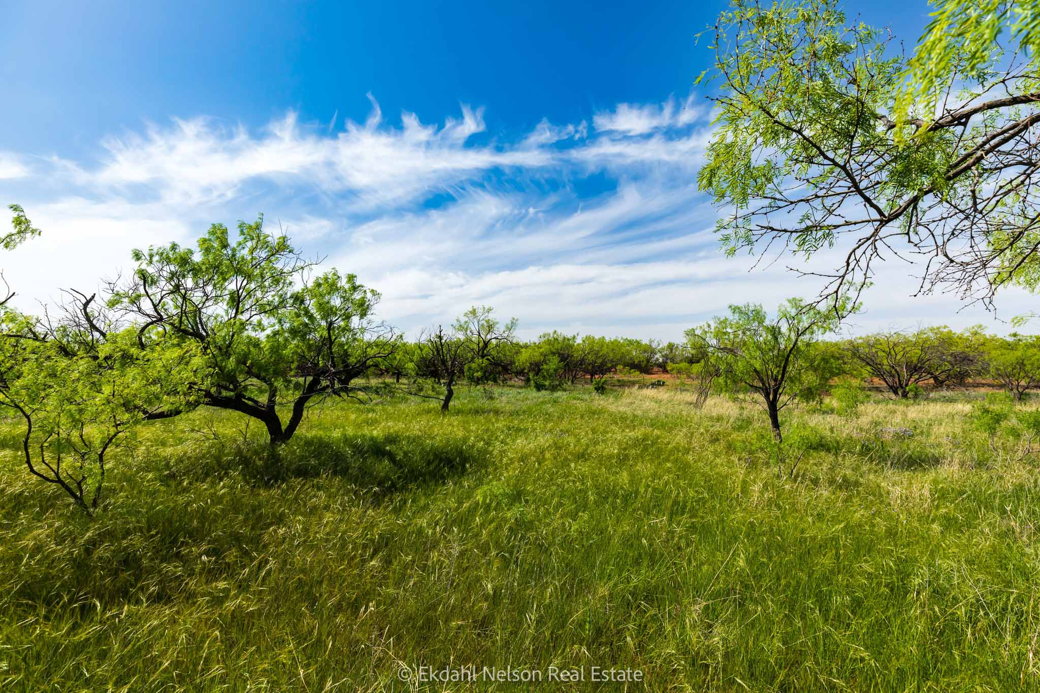 Property Photo 04 Property photograph 04