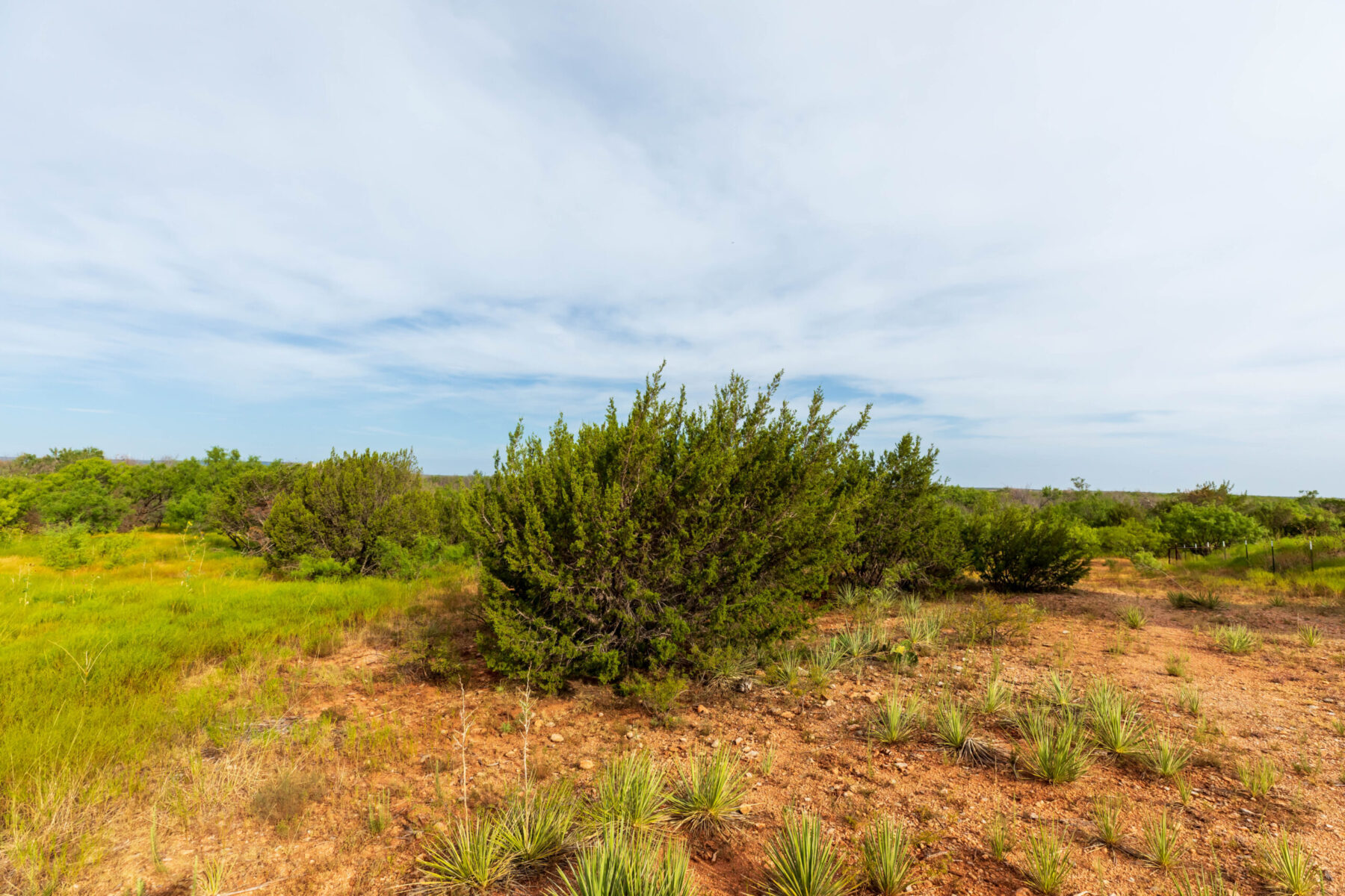 Property Photo 04 Property photograph 04