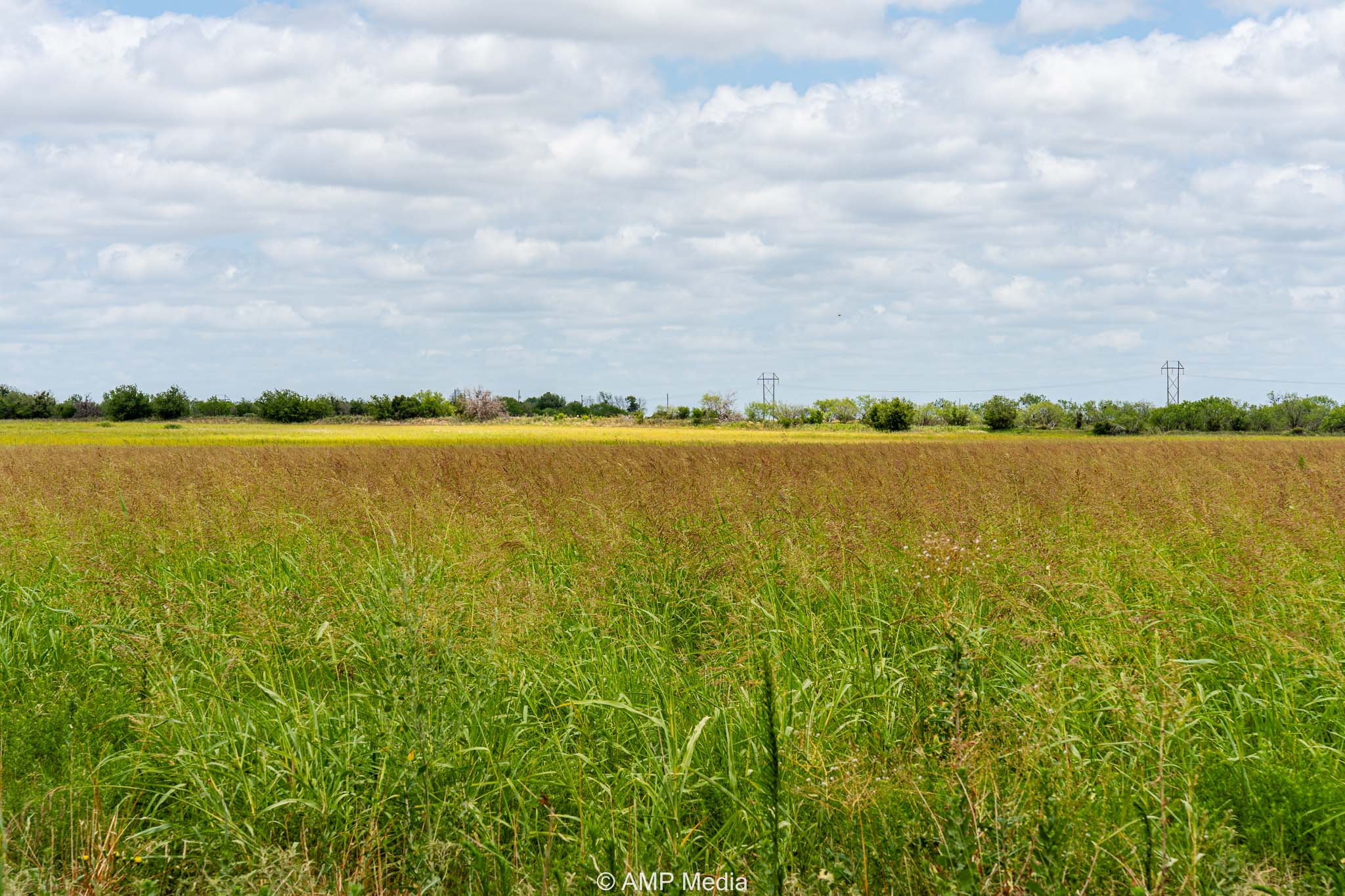 Property Photo 04 Property photograph 04