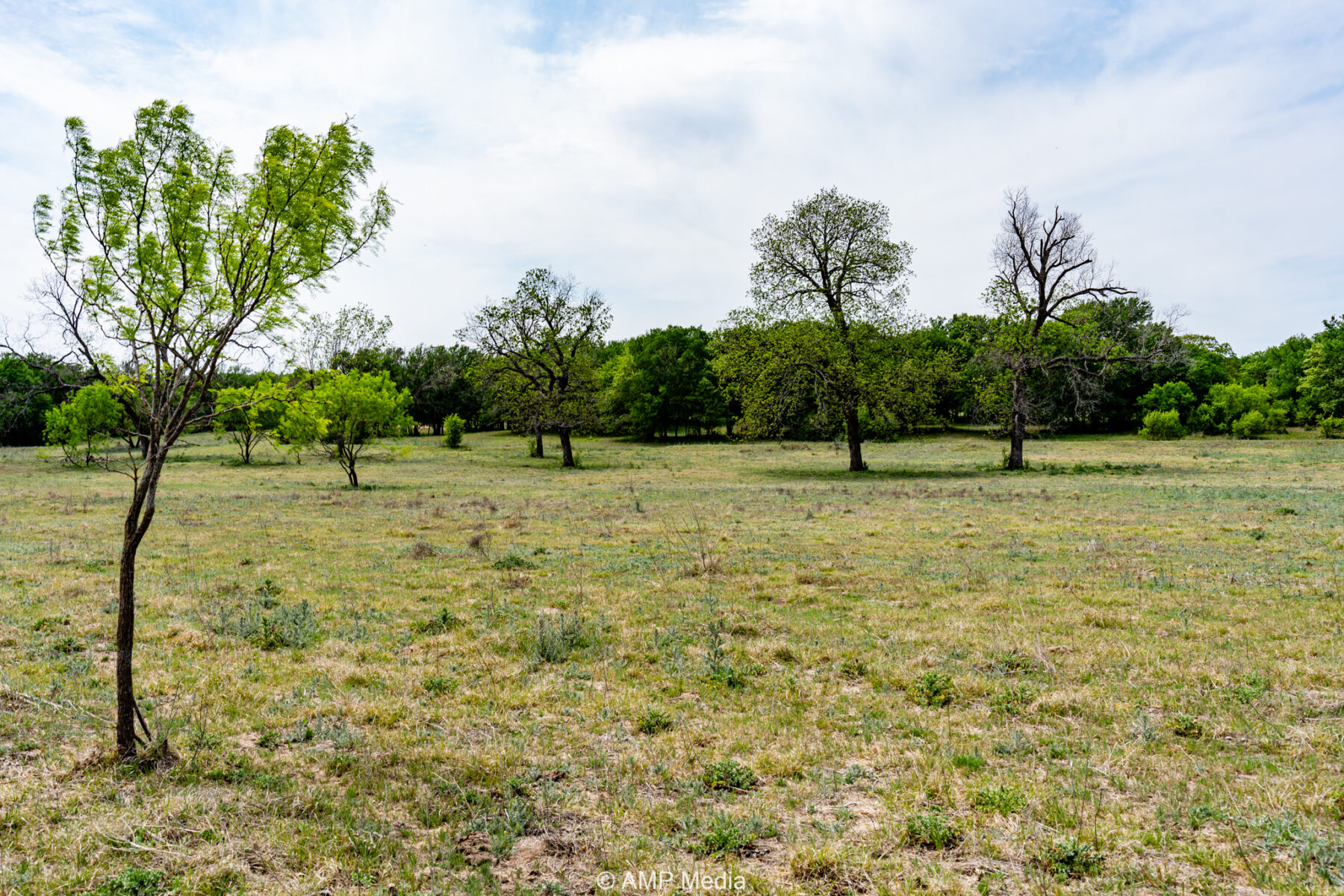 Property Photo 04 Property photograph 04