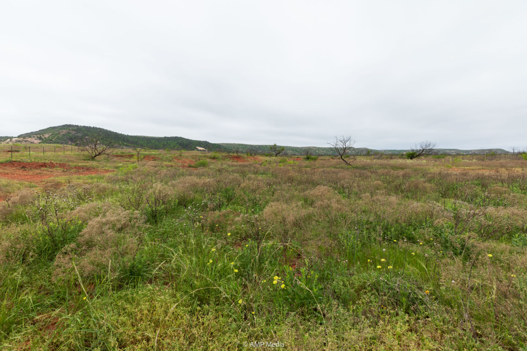 Property Photo 04 Property photograph 04