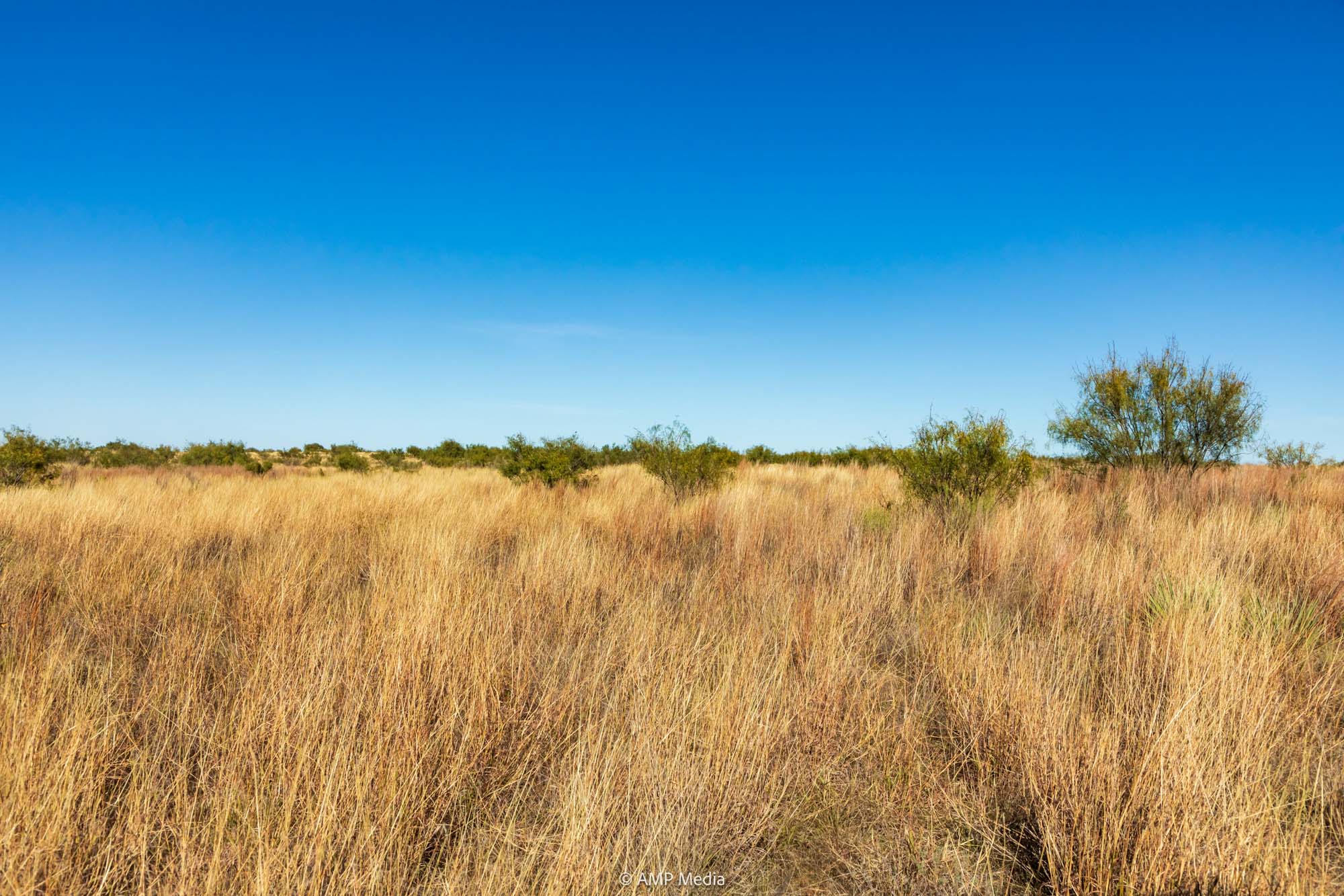 Property Photo 04 Property photograph 04
