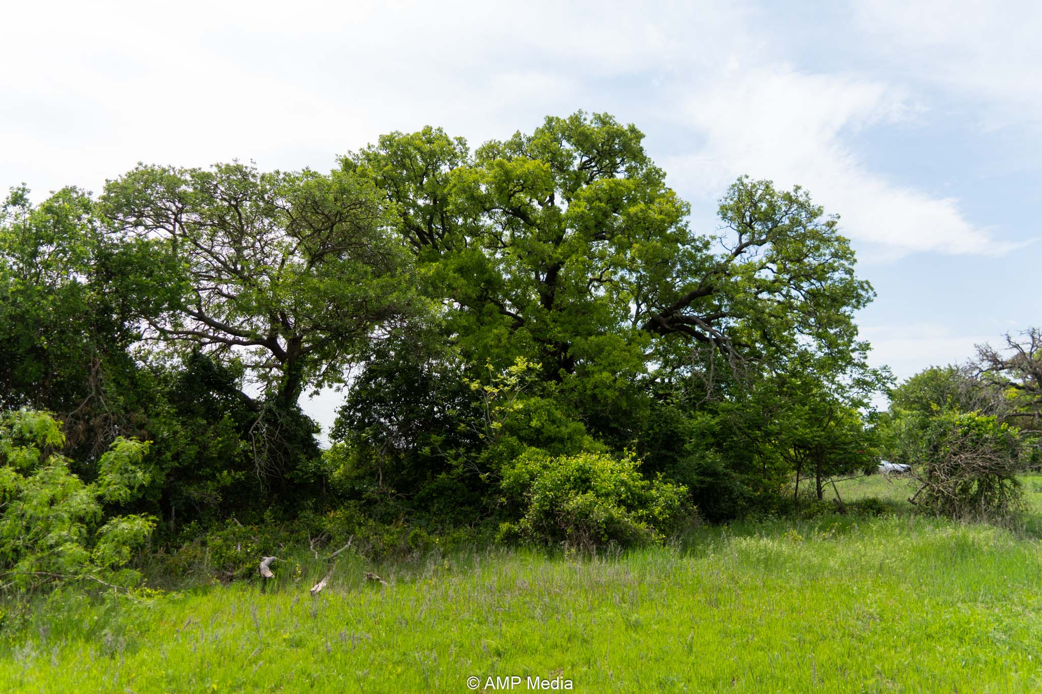 Property Photo 04 Property photograph 04