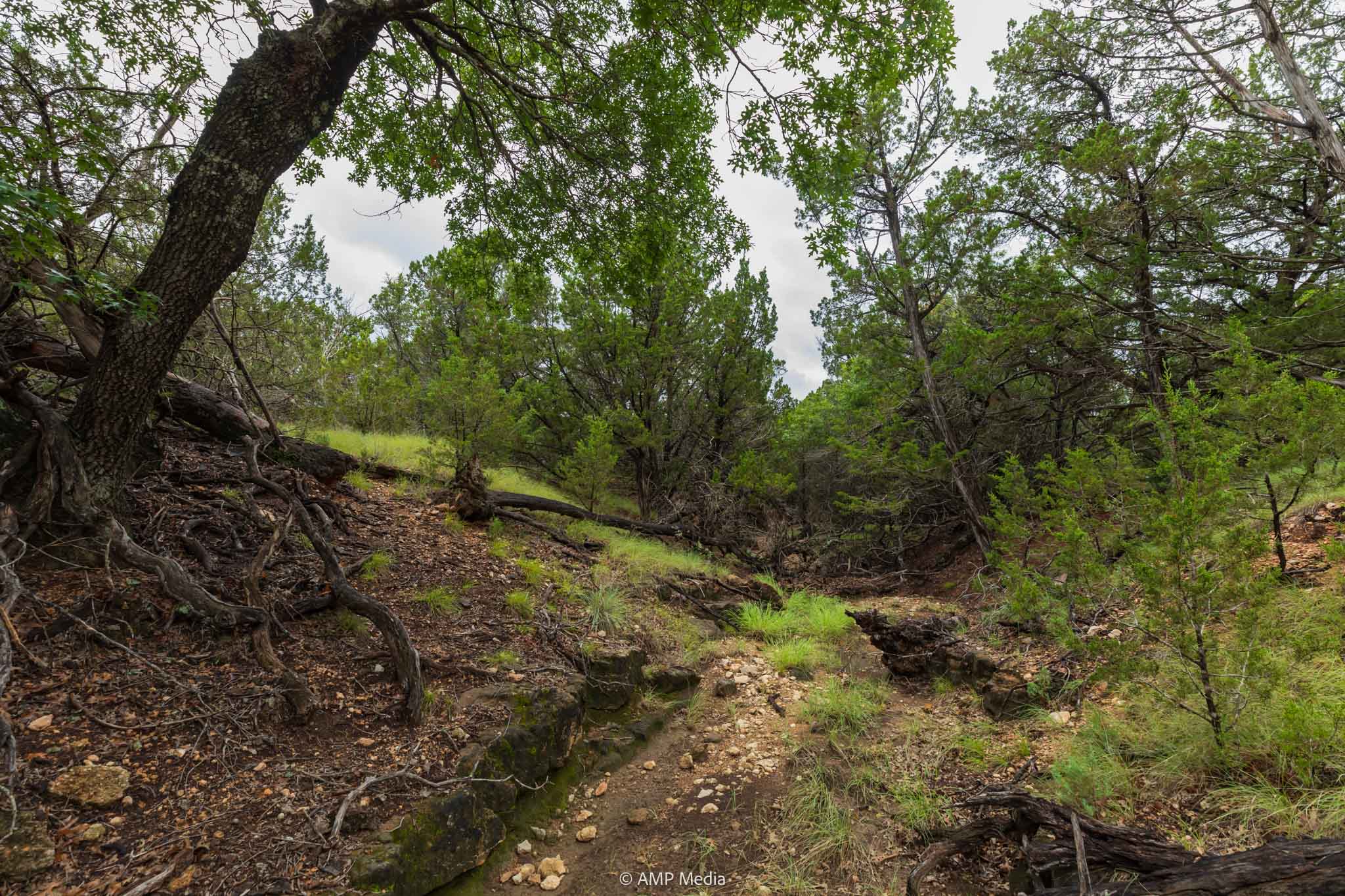 Property Photo 04 Property photograph 04