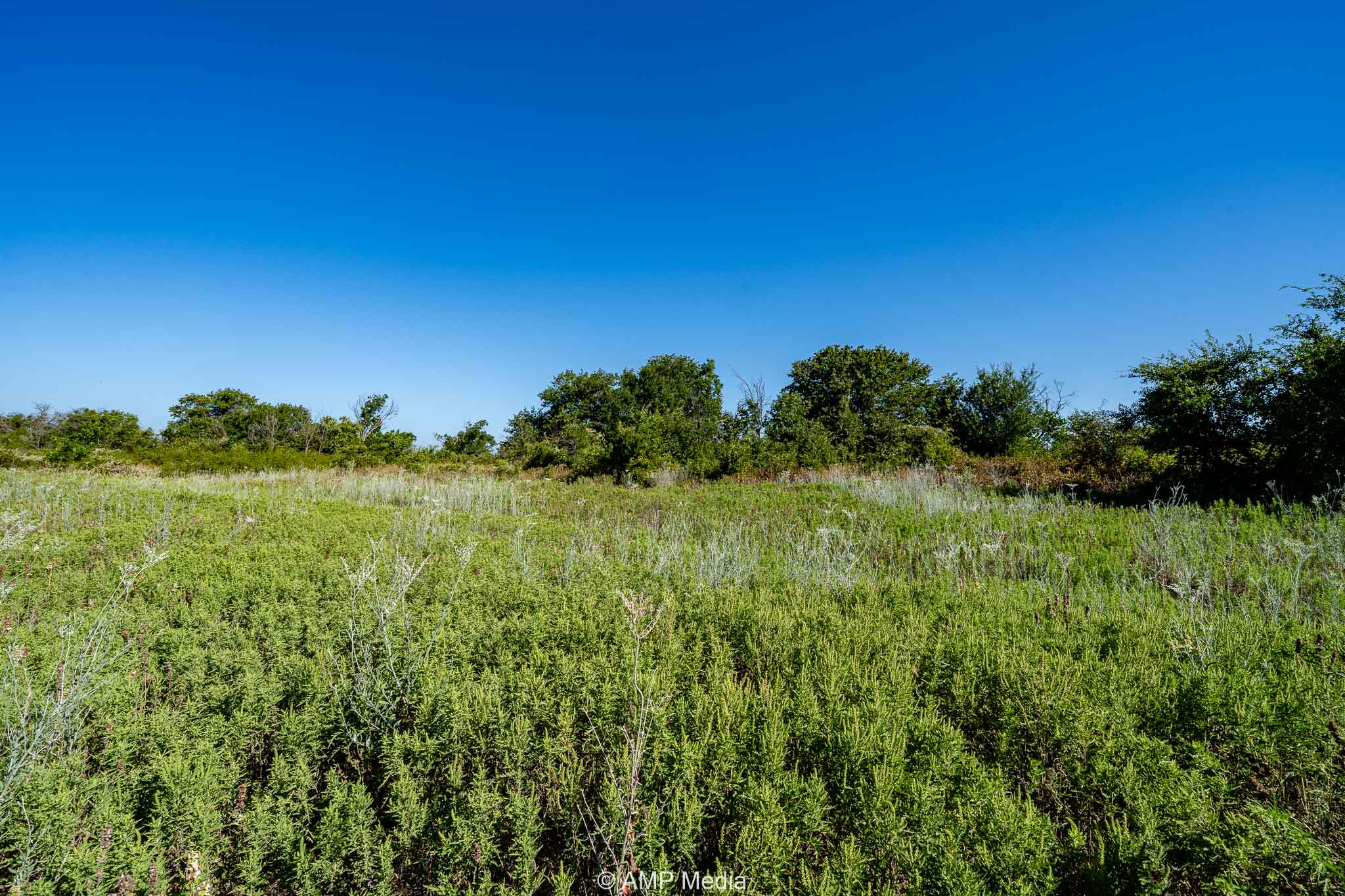 Property Photo 04 Property photograph 04