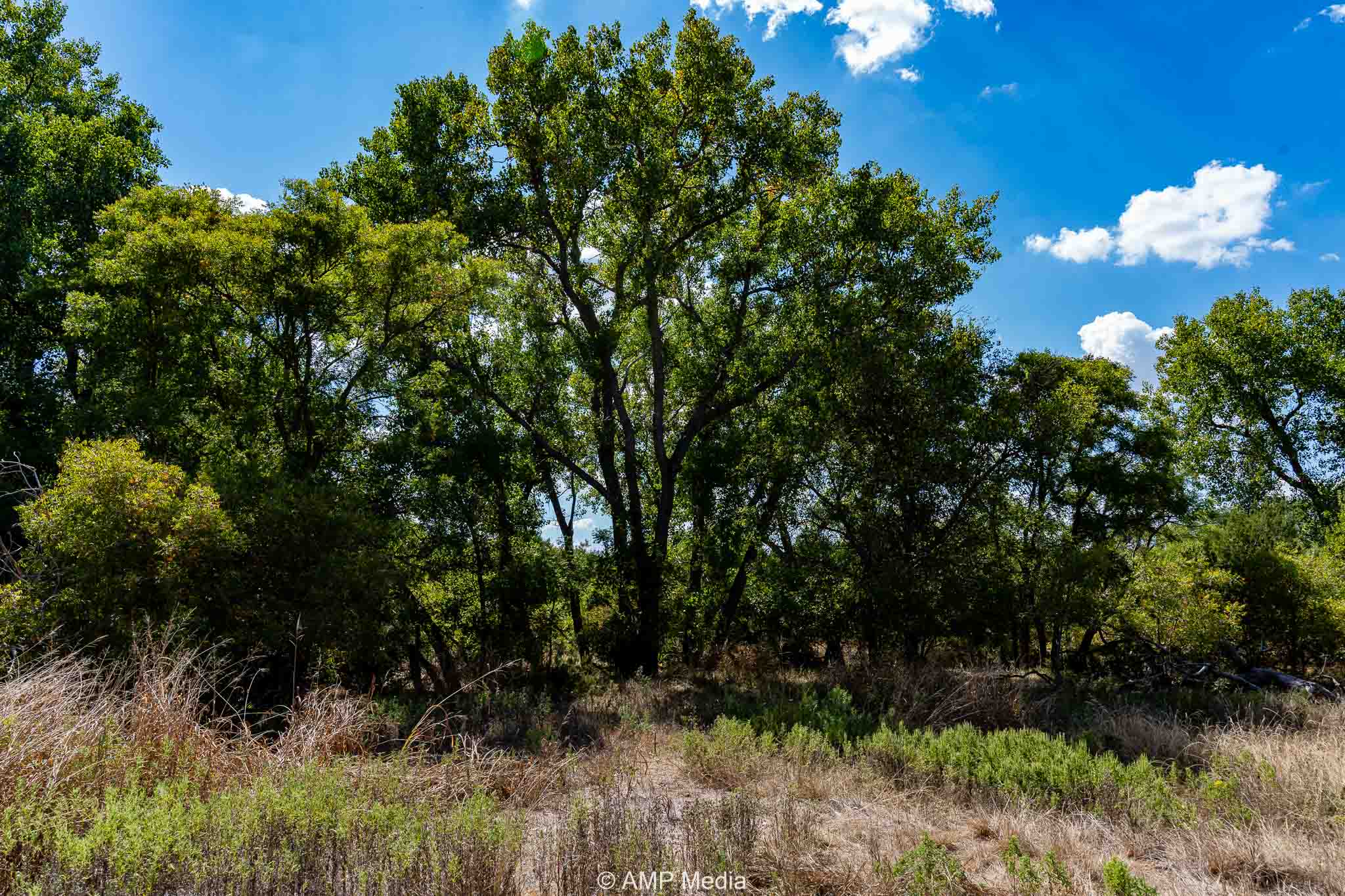 Property Photo 04 Property photograph 04