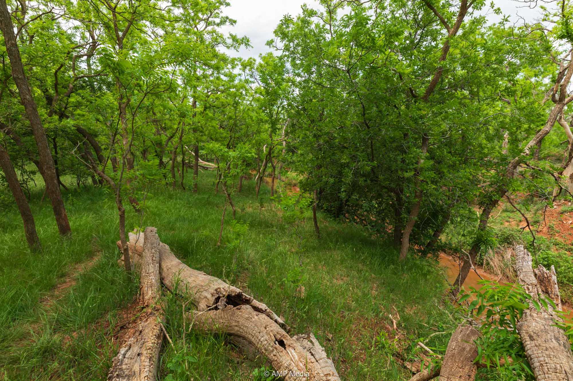 Property Photo 40 Property photograph 40