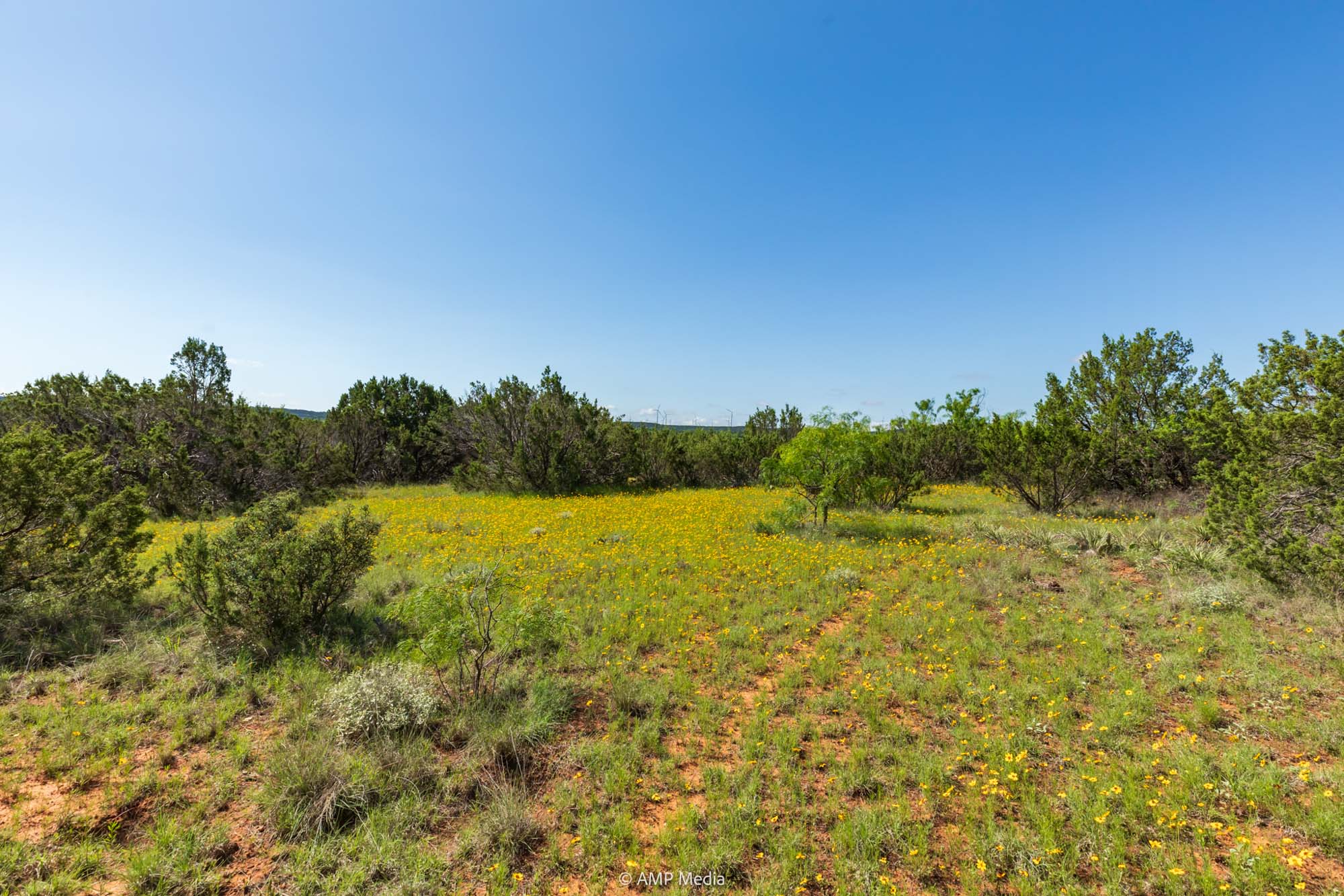 Property Photo 40 Property photograph 40