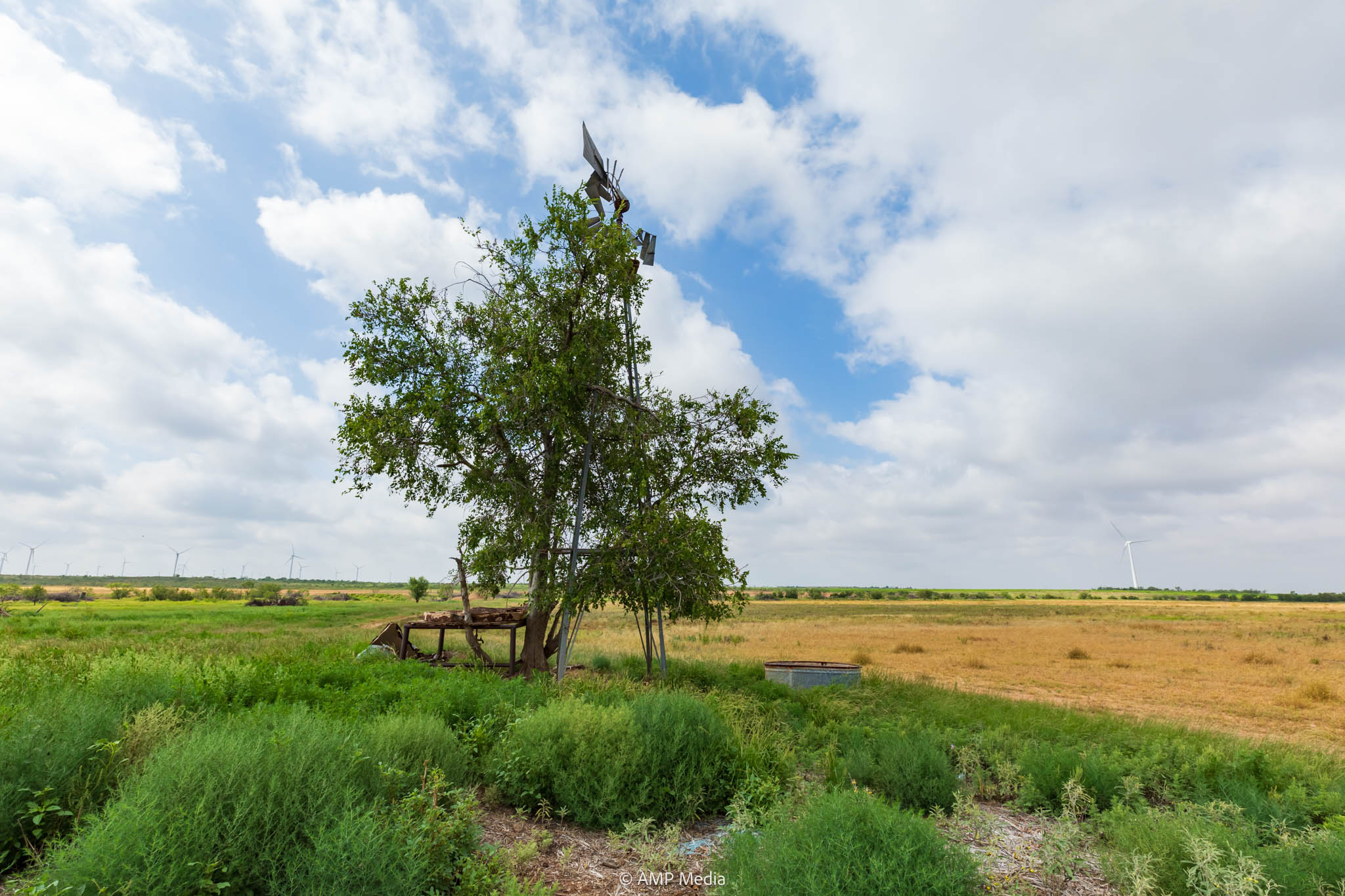 Property Photo 40 Property photograph 40