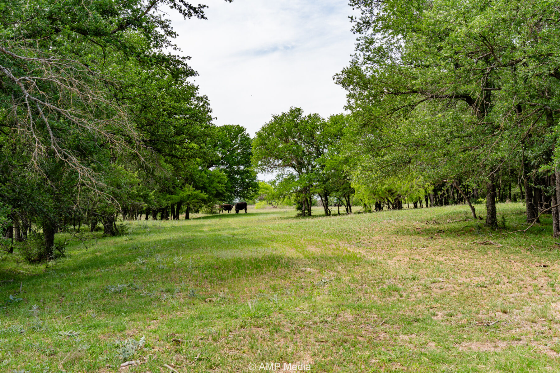 Property Photo 41 Property photograph 41