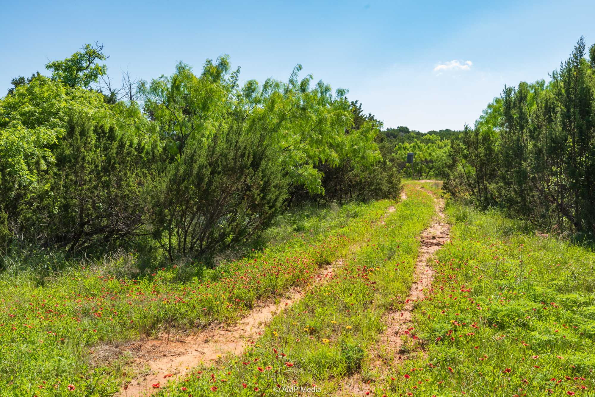 Property Photo 41 Property photograph 41