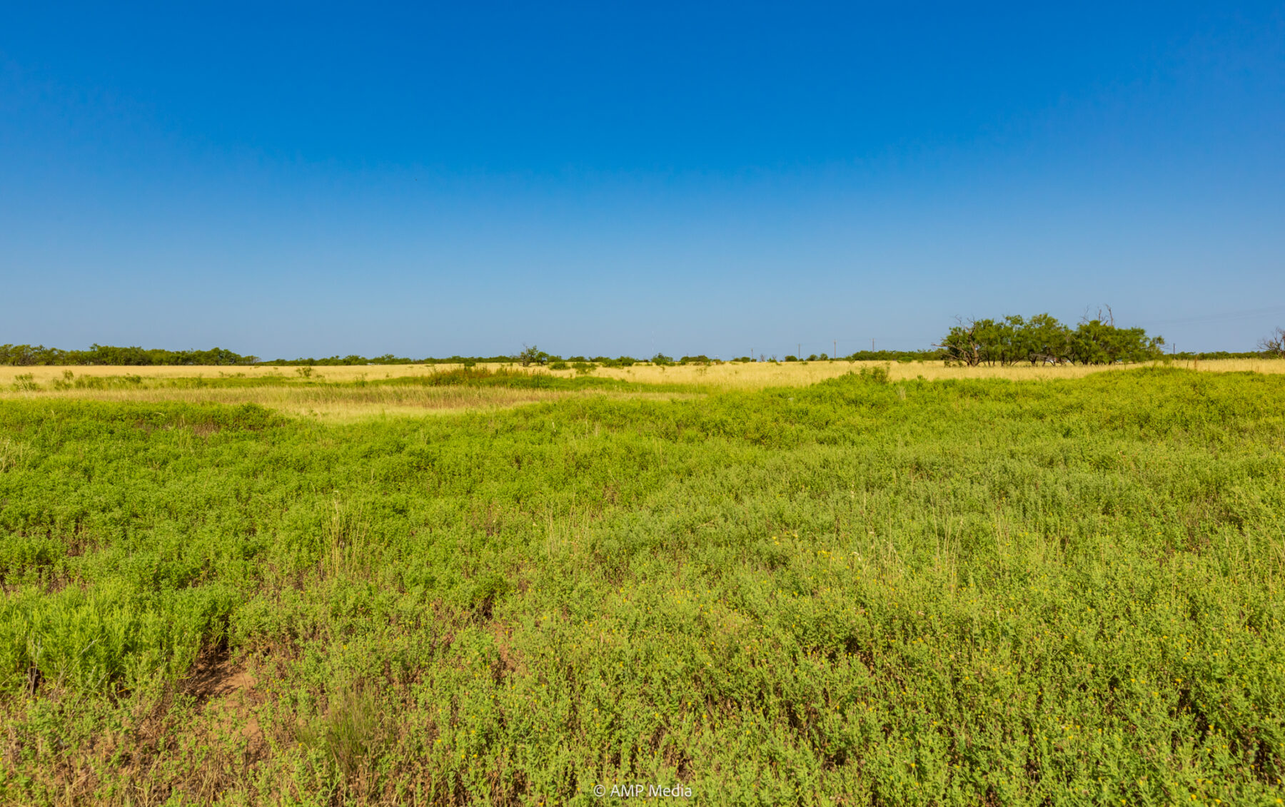 Property Photo 41 Property photograph 41