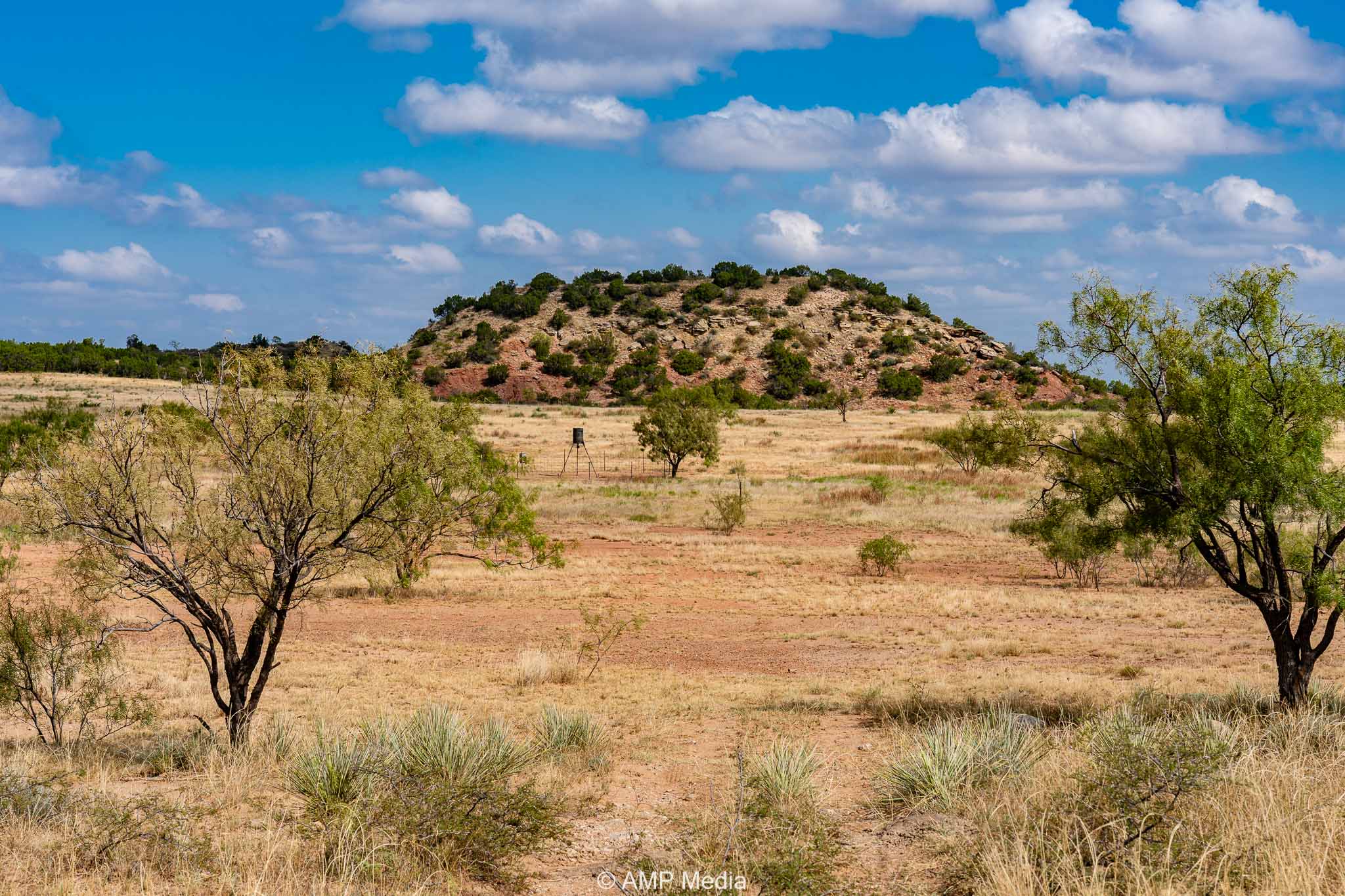 Property Photo 41 Property photograph 41