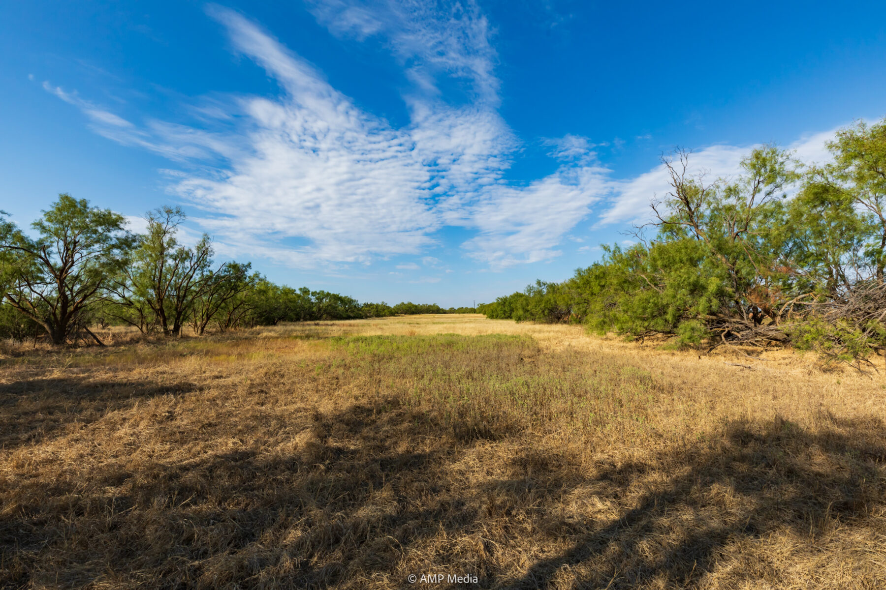 Property Photo 41 Property photograph 41