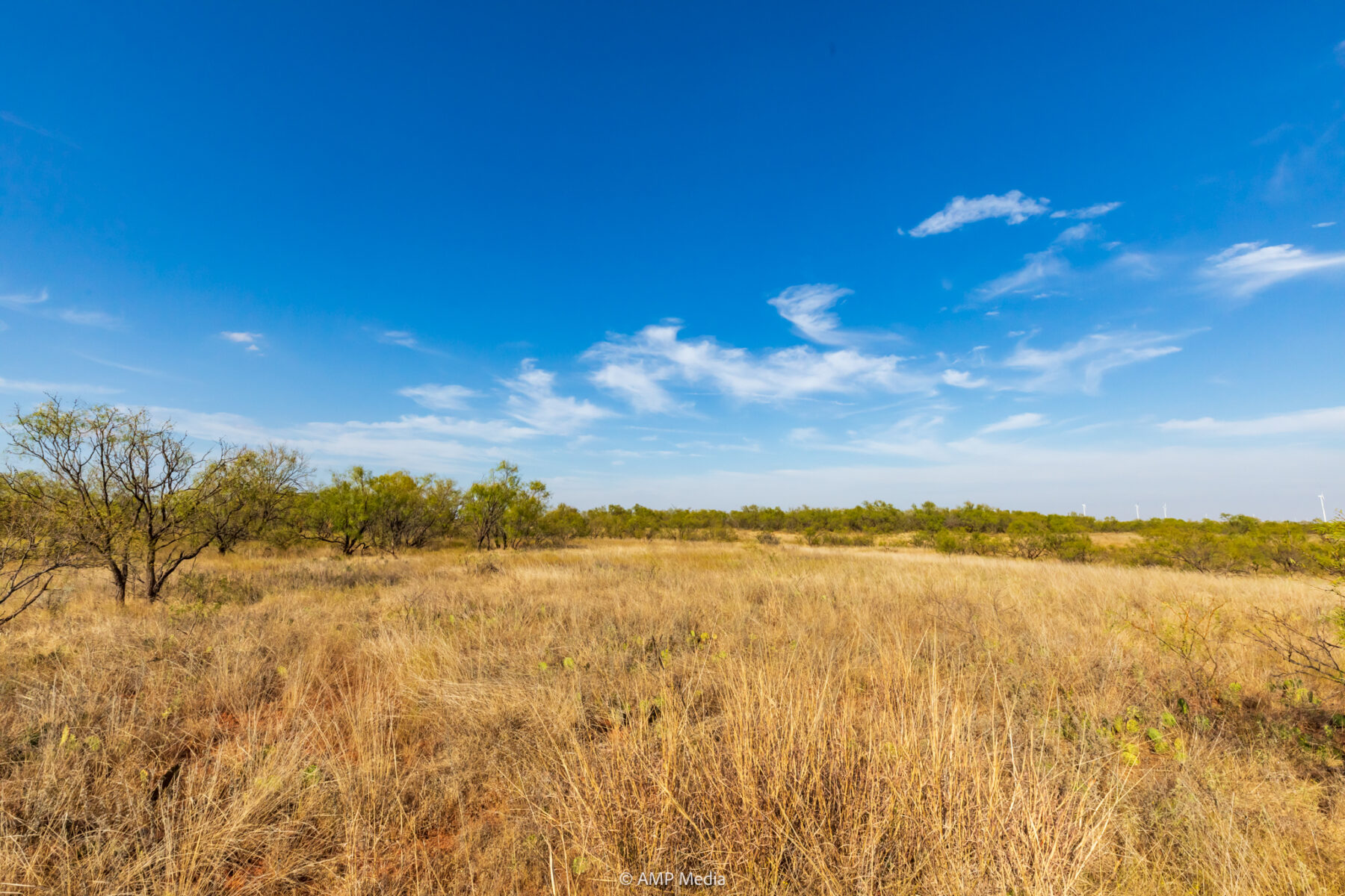 Property Photo 41 Property photograph 41