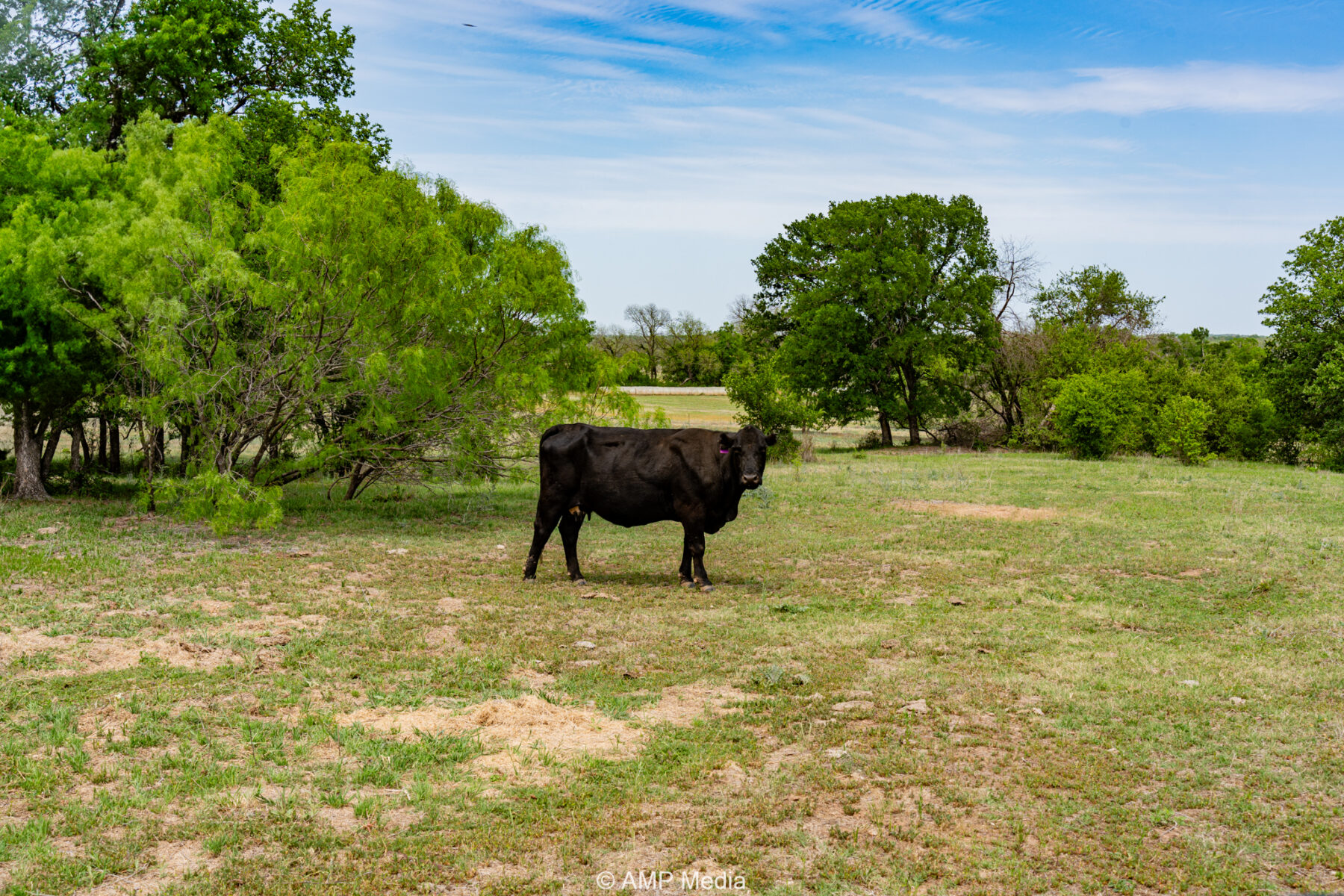 Property Photo 42 Property photograph 42