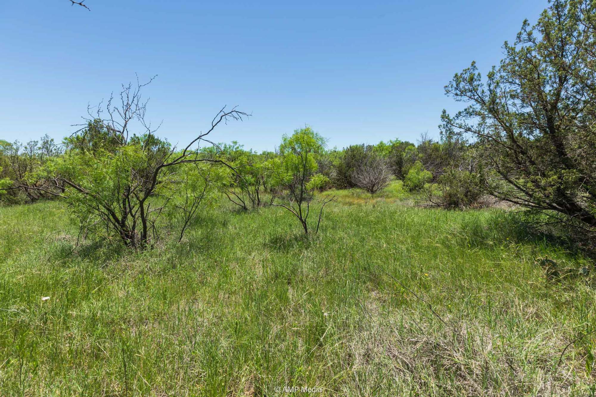 Property Photo 42 Property photograph 42